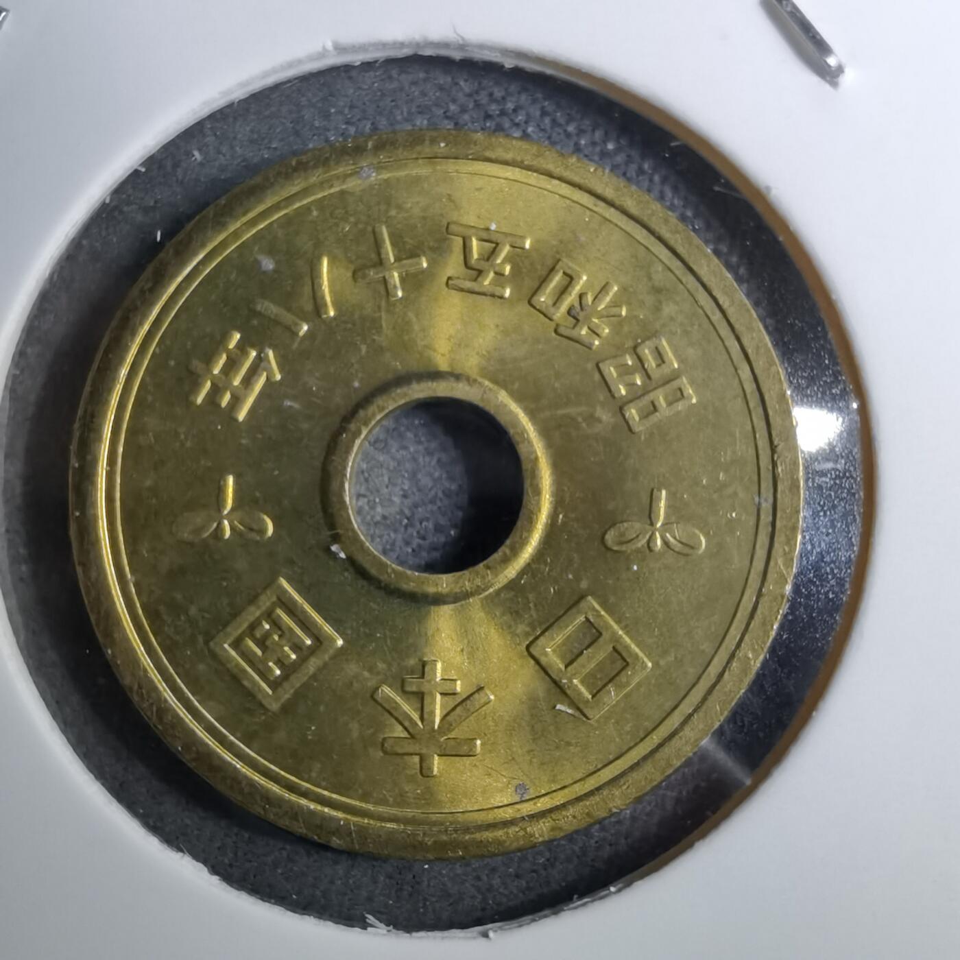 沼泽如烟--第888场