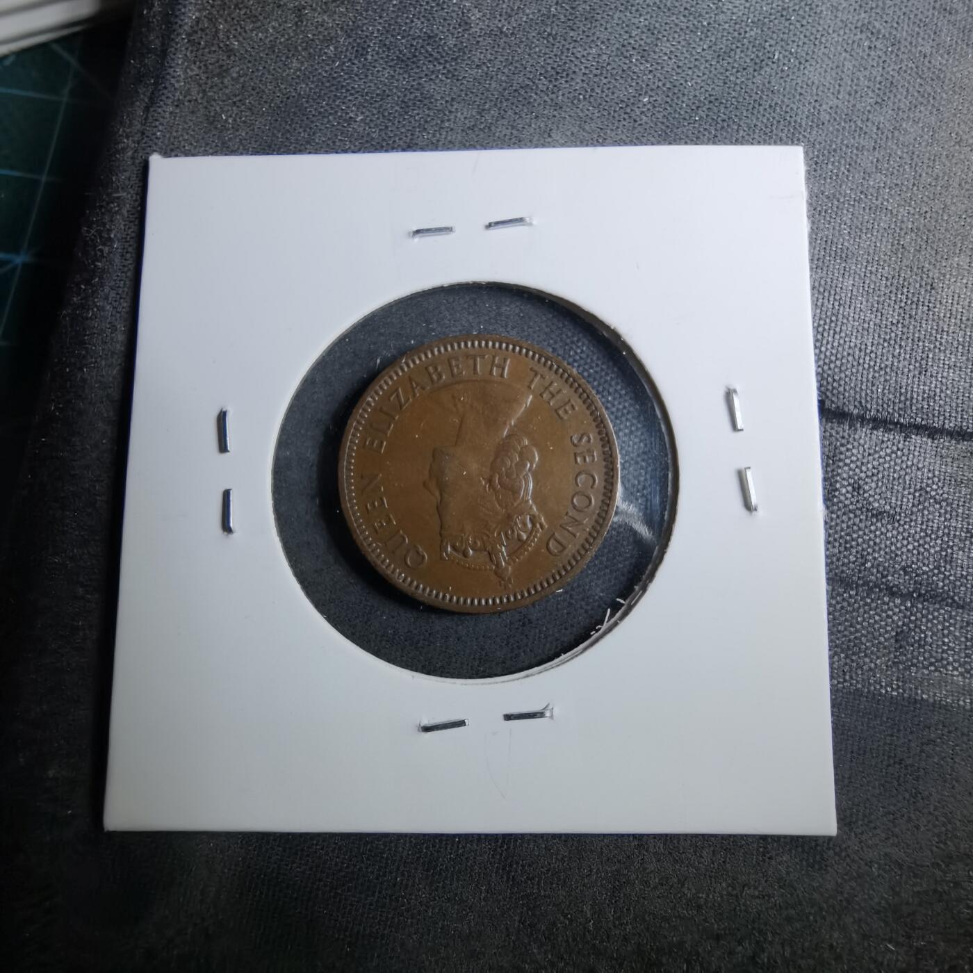 沼泽如烟--第888场