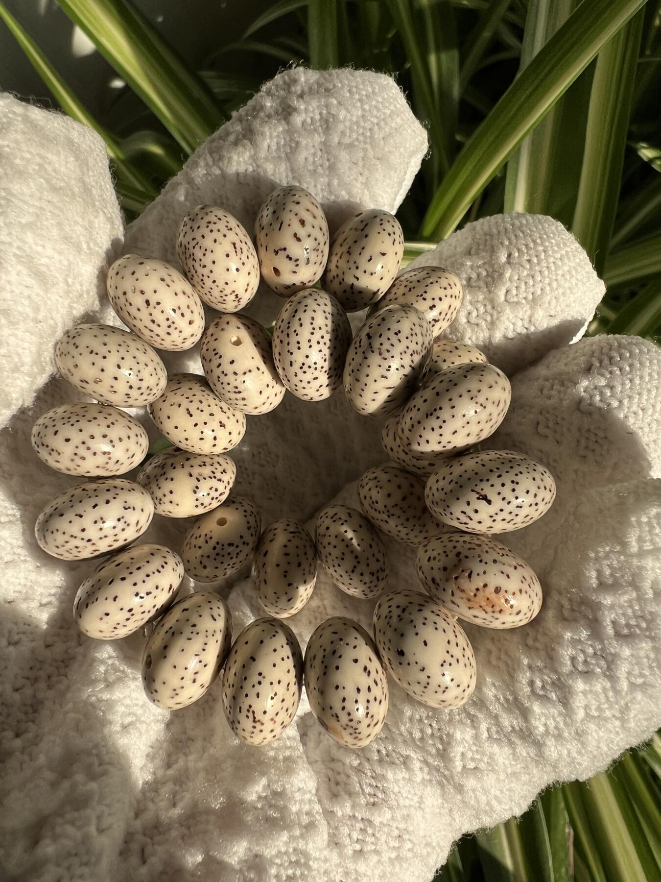 零元拍：星月算盘珠手串 13/8