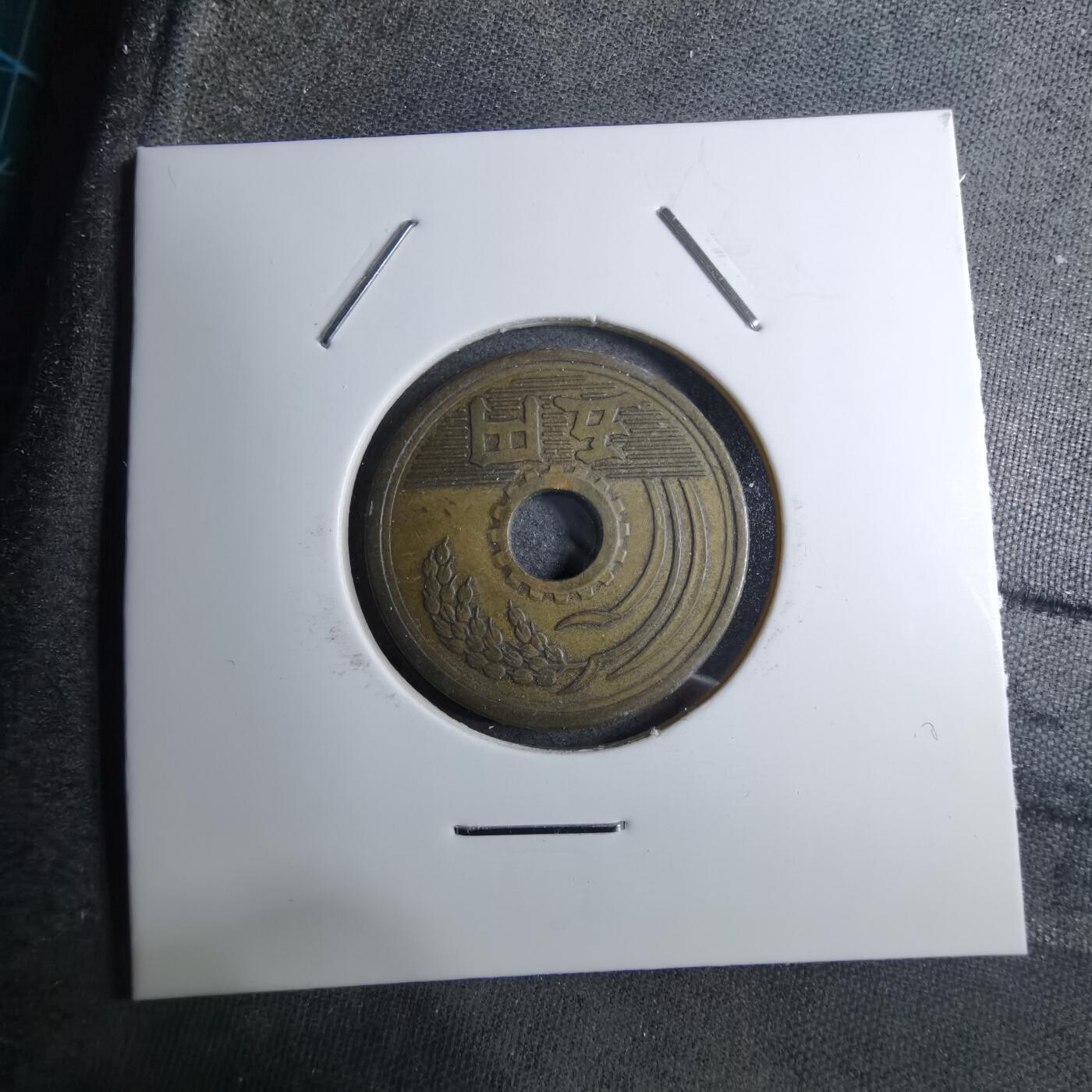 沼泽如烟--第888场