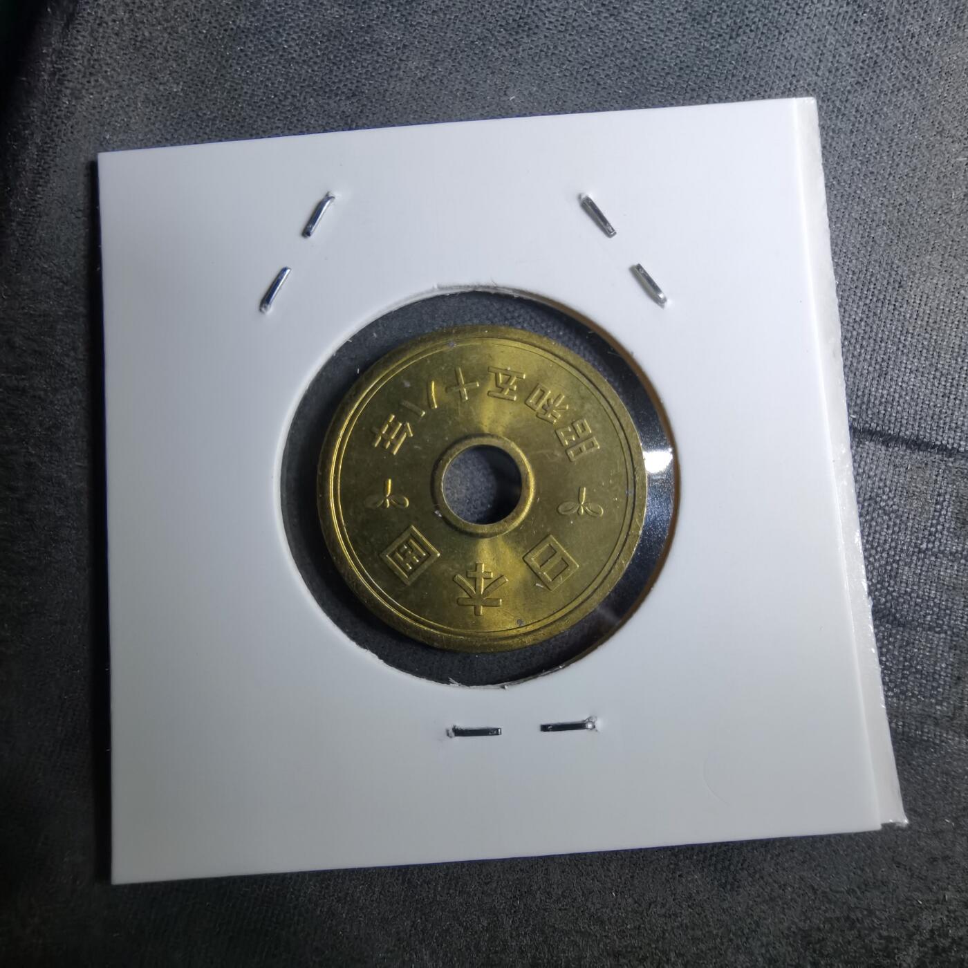 沼泽如烟--第888场