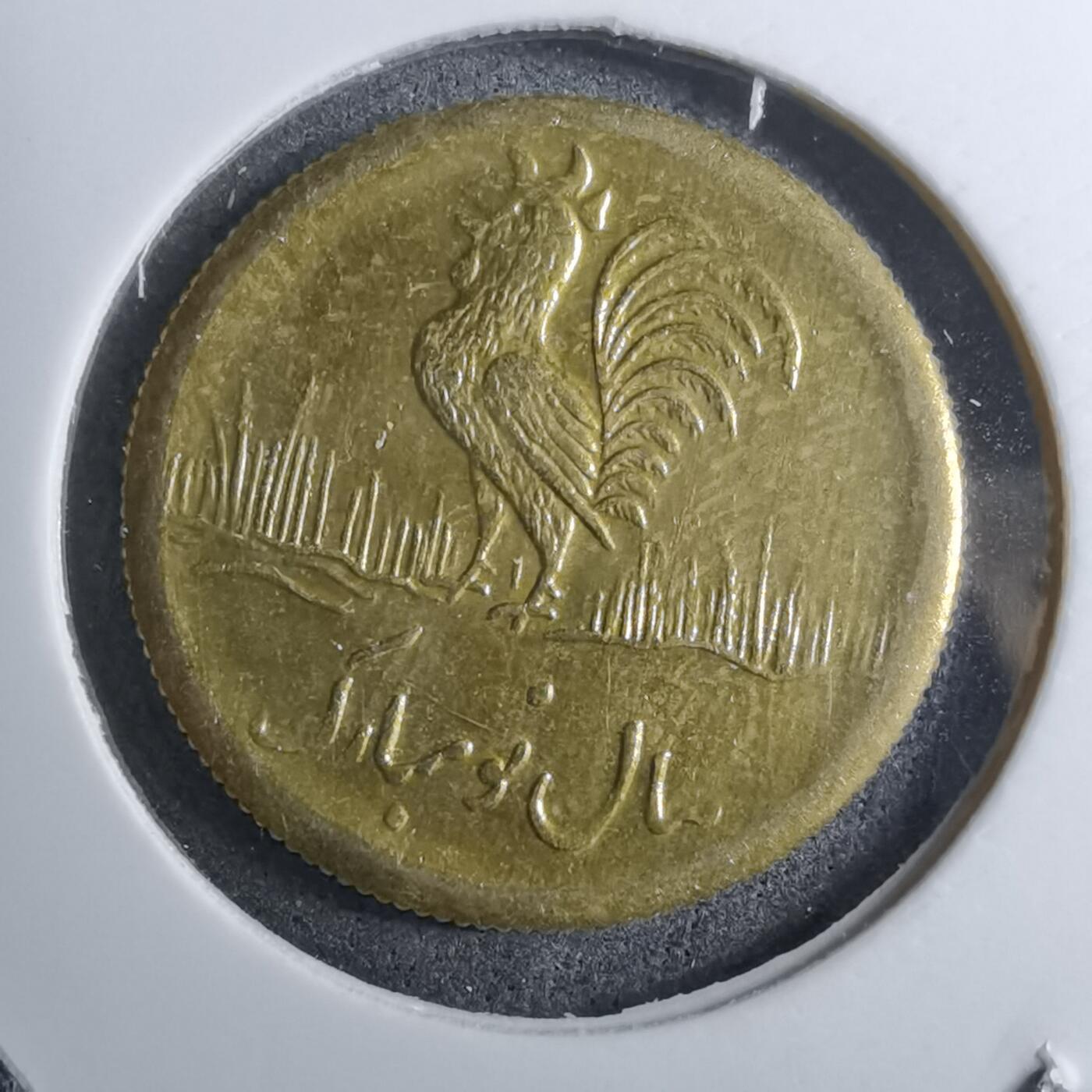 沼泽如烟--第888场