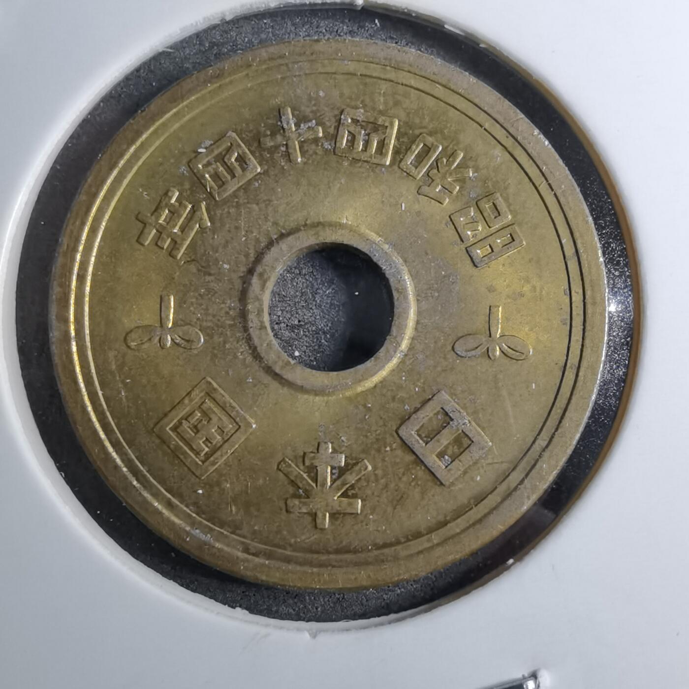 沼泽如烟--第888场