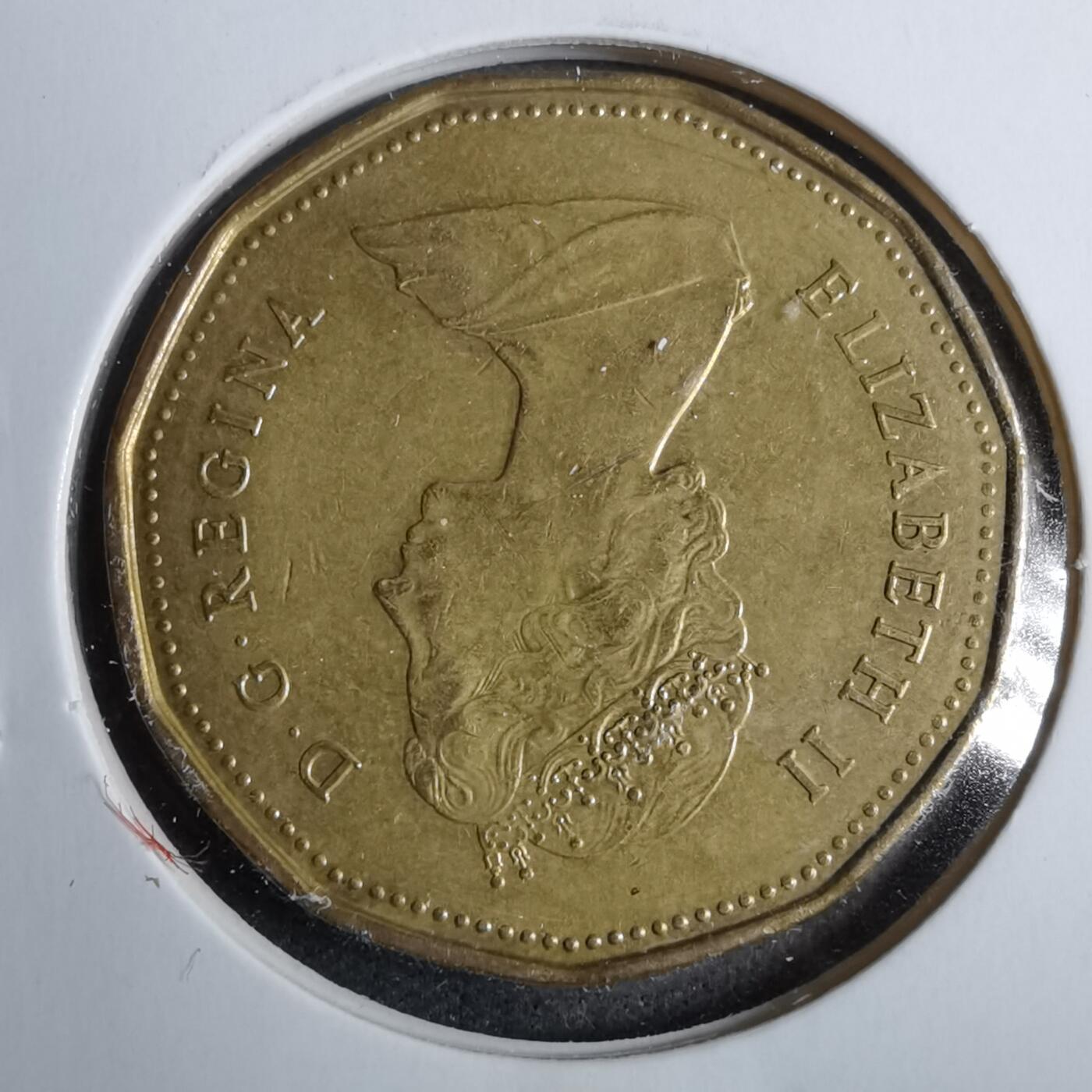 沼泽如烟--第889场