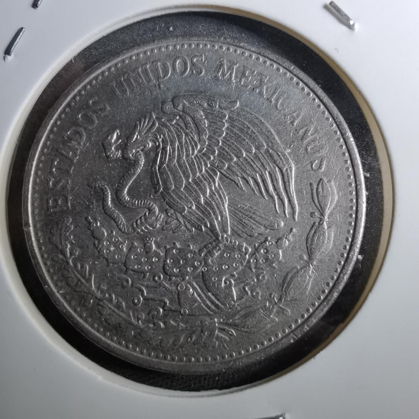 沼泽如烟--第888场