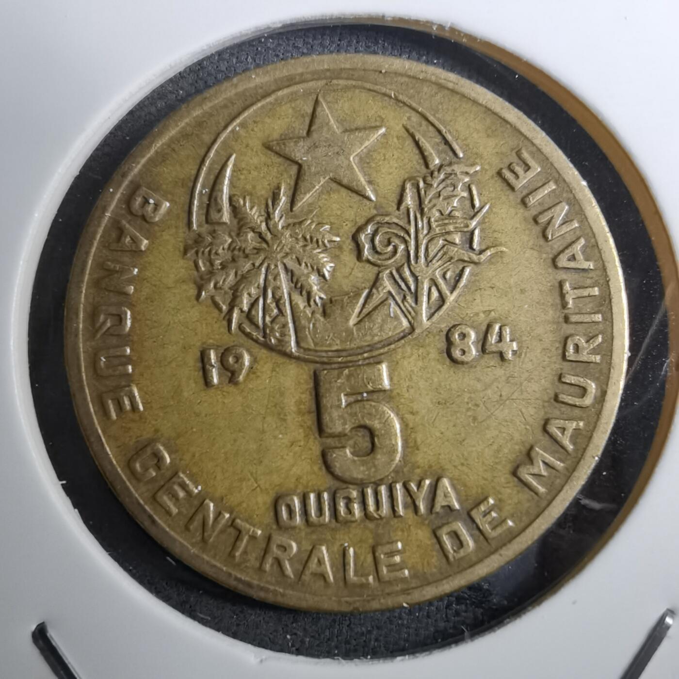 沼泽如烟--第888场