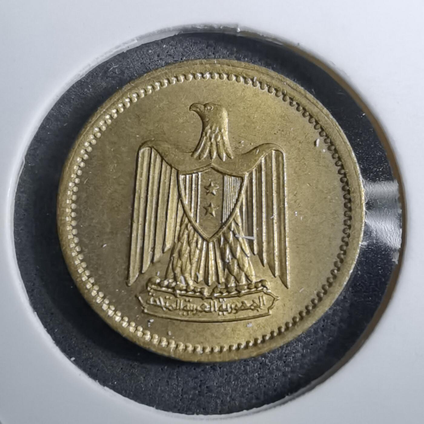 沼泽如烟--第888场