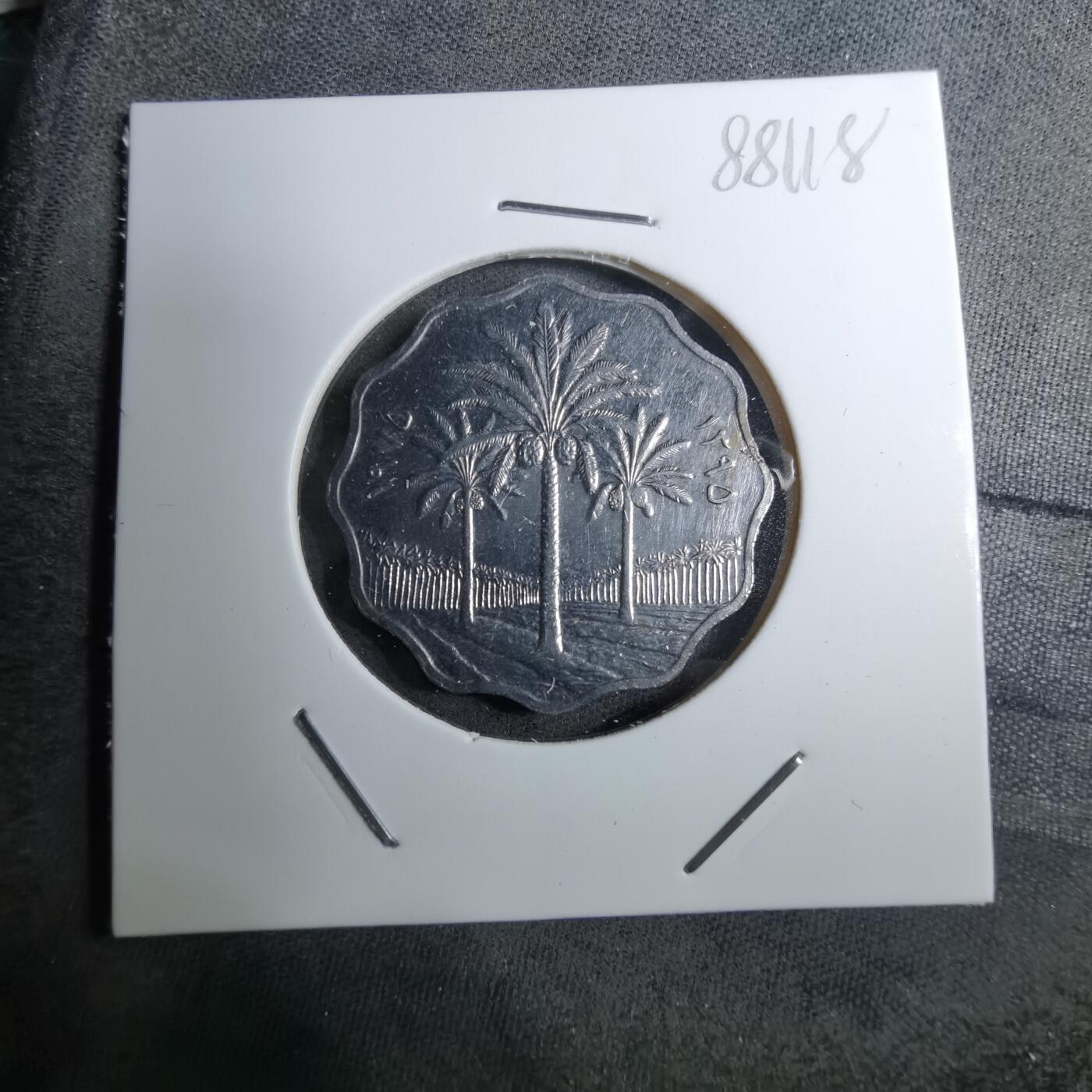 沼泽如烟--第888场