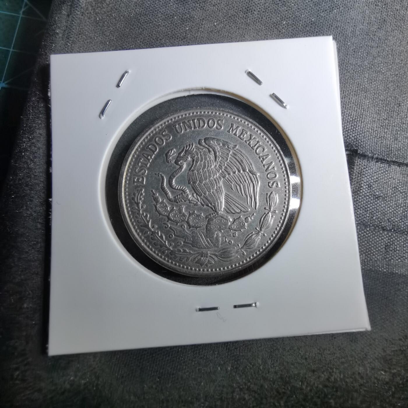 沼泽如烟--第888场