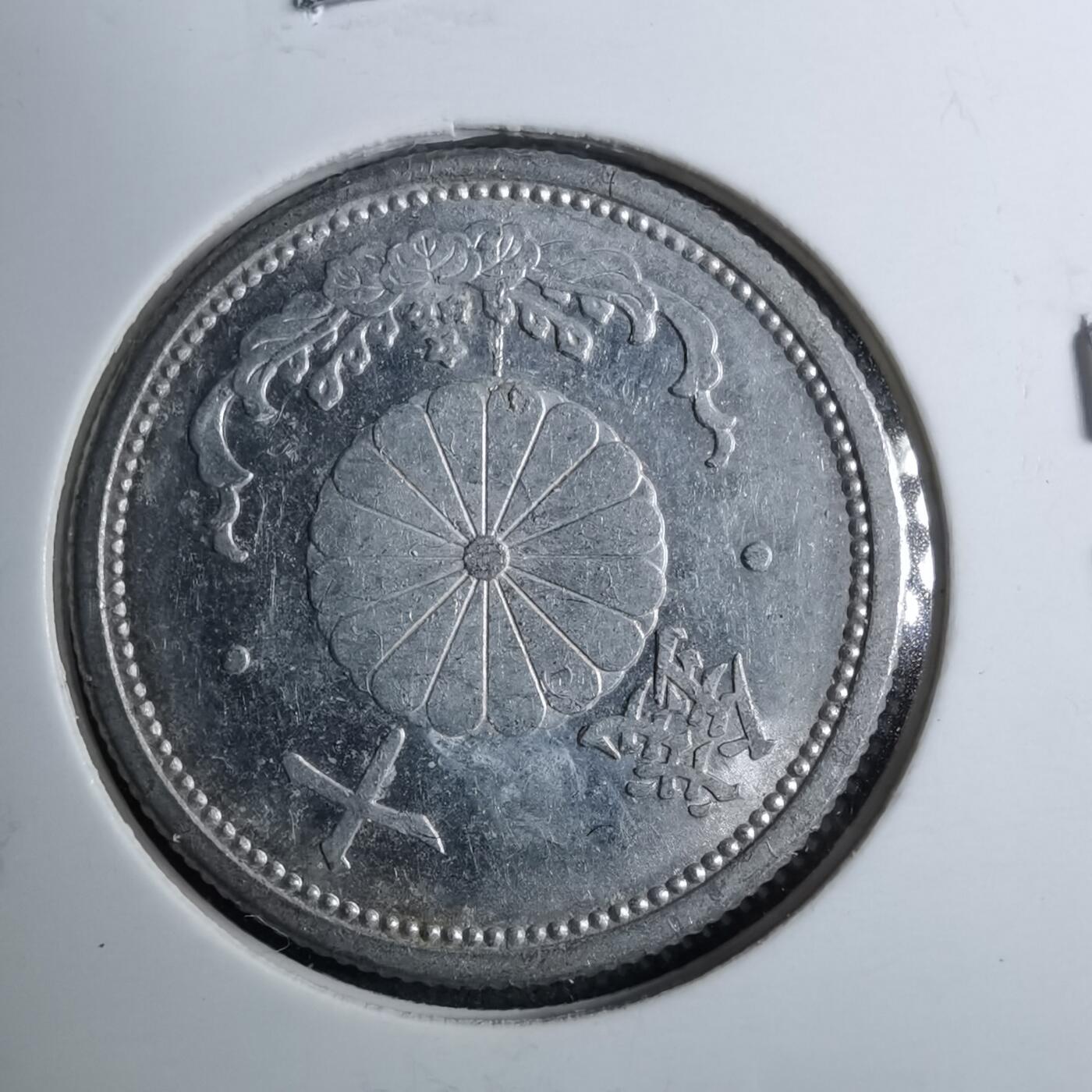 沼泽如烟--第888场