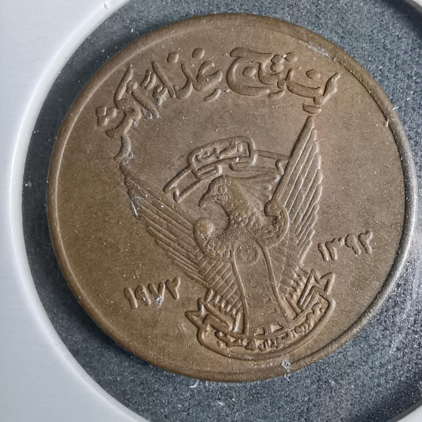 沼泽如烟--第889场 苏丹