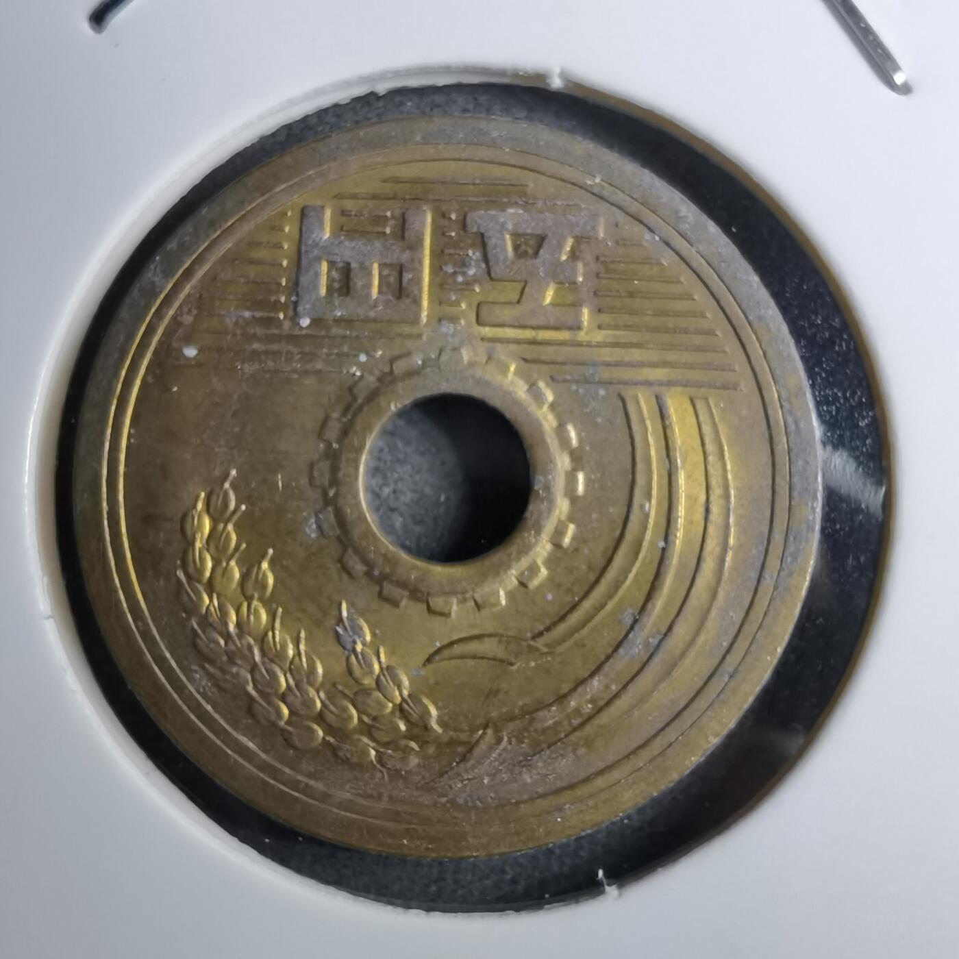 沼泽如烟--第888场