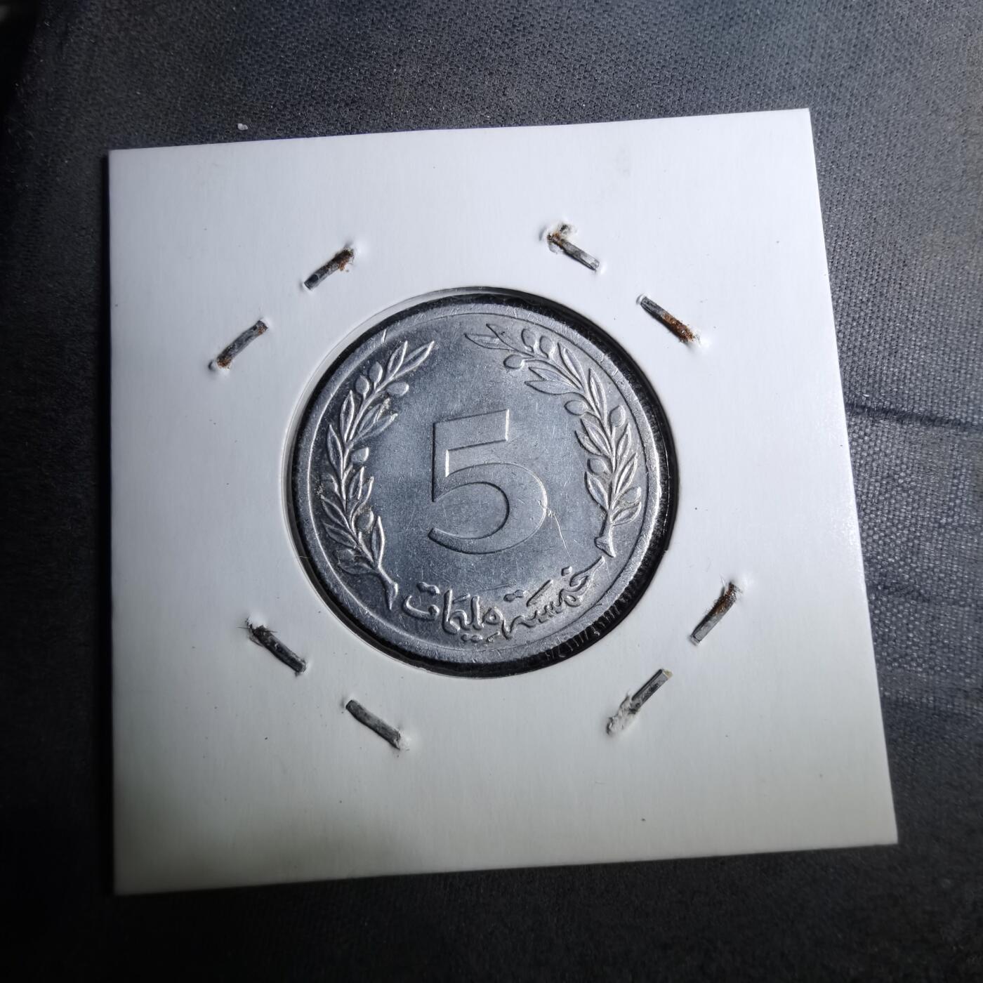 沼泽如烟--第888场