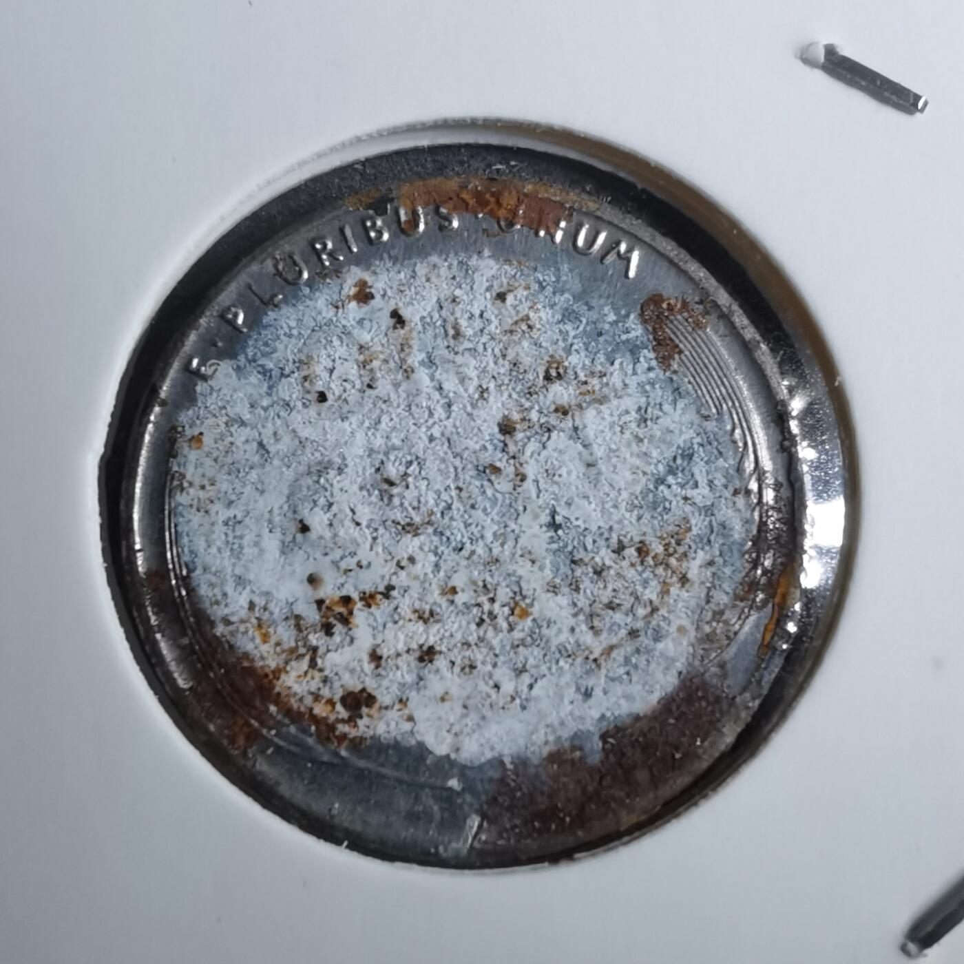 沼泽如烟--第888场