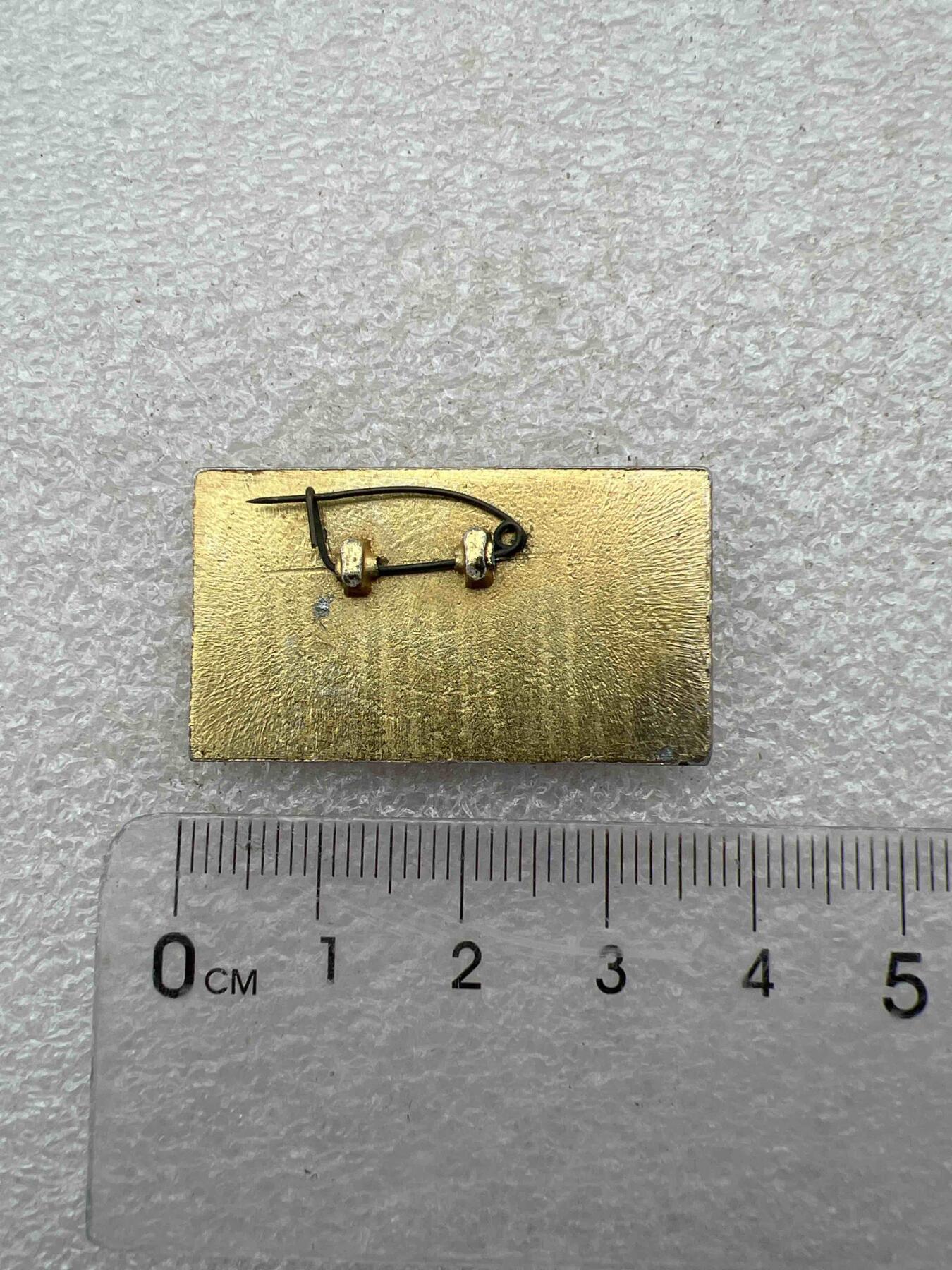 真品毛主席像章F 真品毛主席像章、F