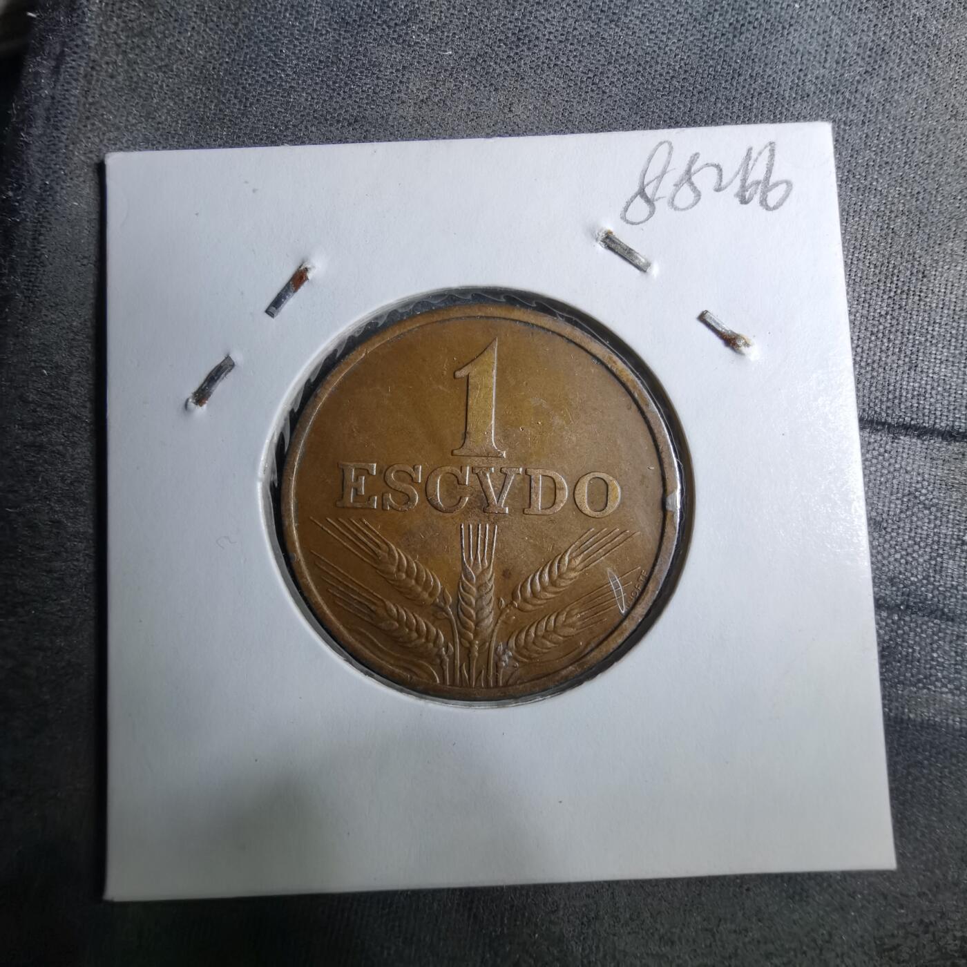 沼泽如烟--第888场