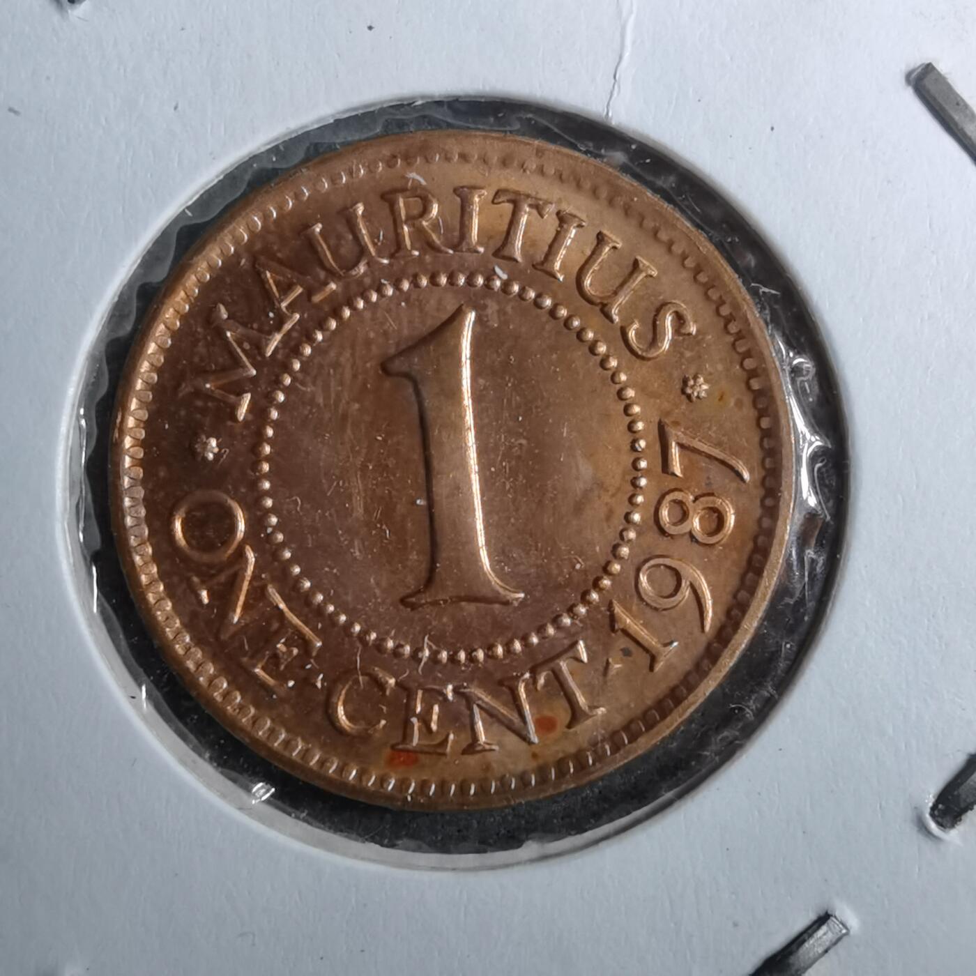 沼泽如烟--第888场