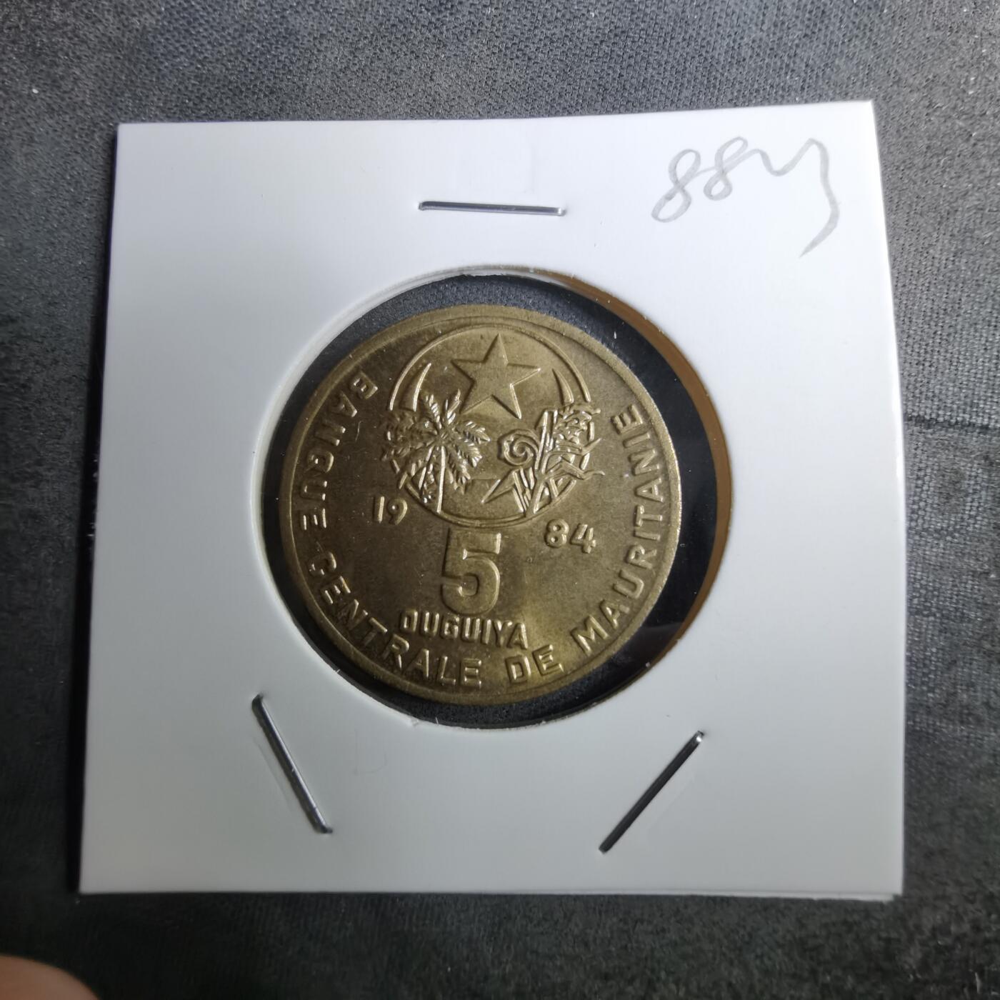 沼泽如烟--第888场