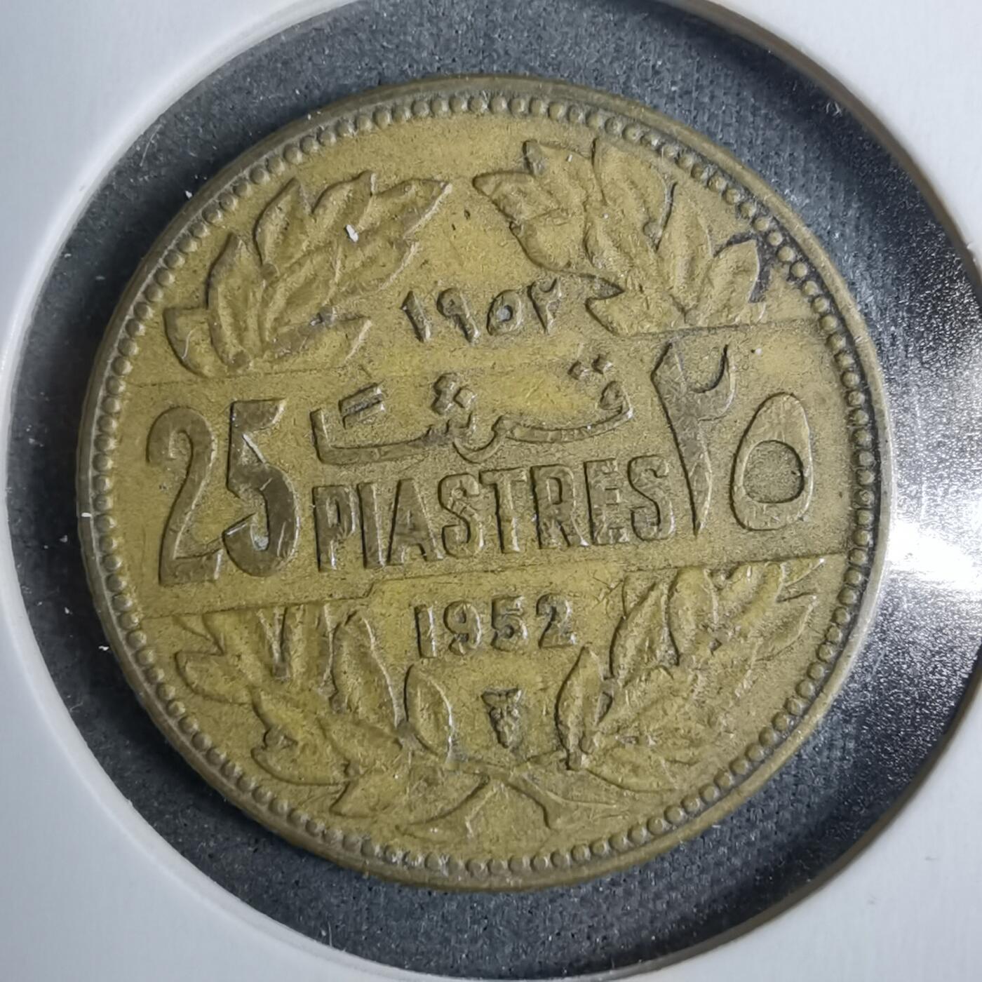 沼泽如烟--第889场