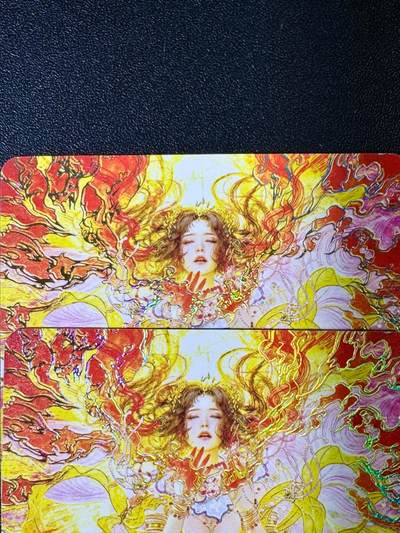 NO.14 好又多金牌大场，双11狂欢！每周一站式配齐，方便凑单！（周6晚8点截拍，卖家送拍0抽成！） - 焱卡燎原人间传刷子 尤三姐双服饰一对幻彩