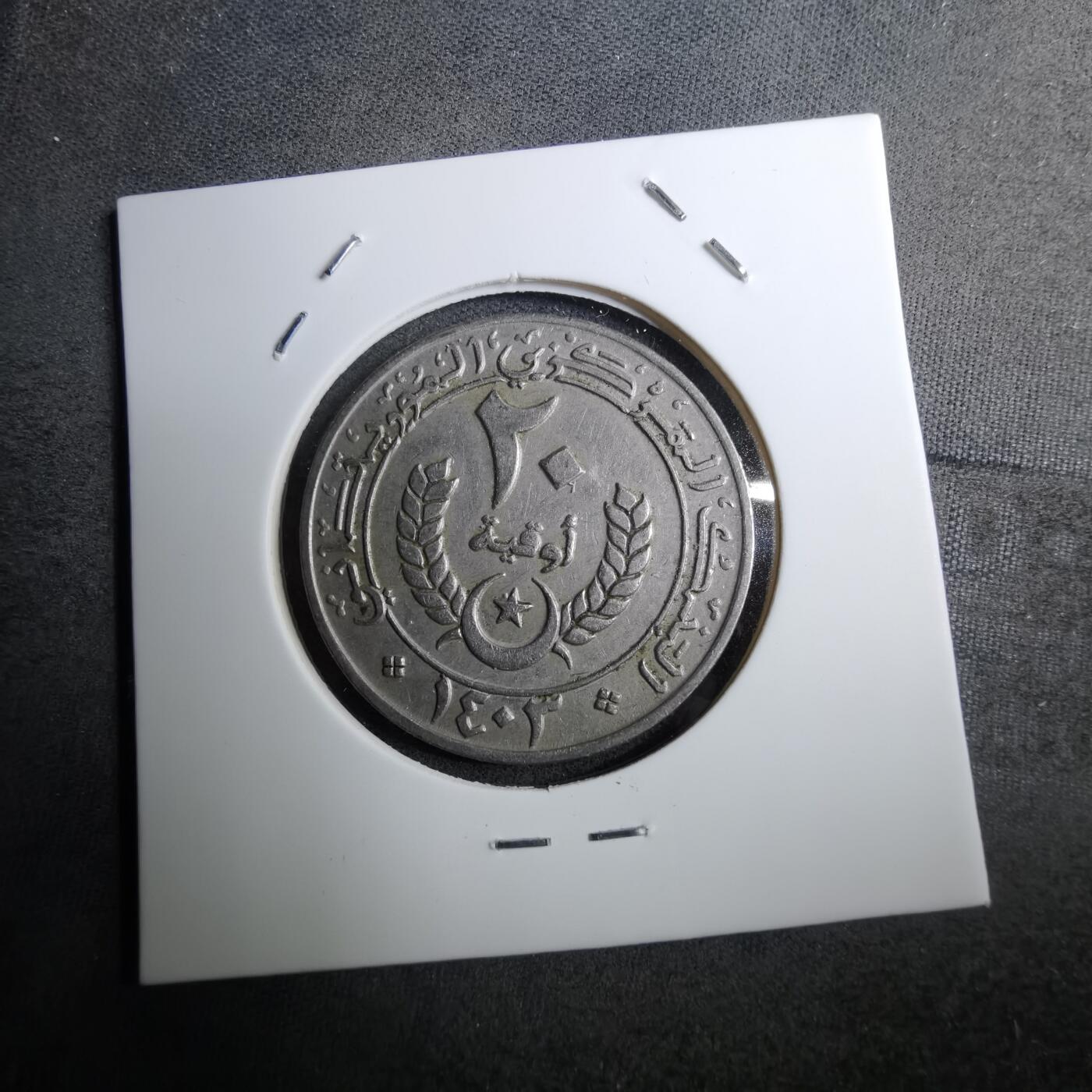 沼泽如烟--第888场