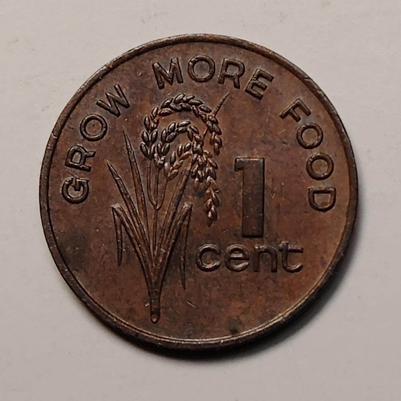 布加迪🐬～世界钱币(上海)🌾第 256 期 /  各国套币和散币