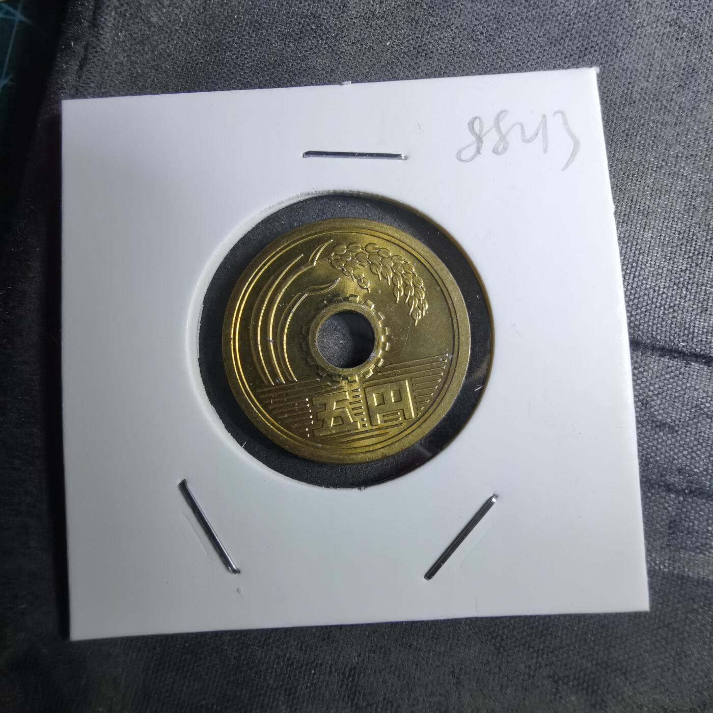 沼泽如烟--第888场