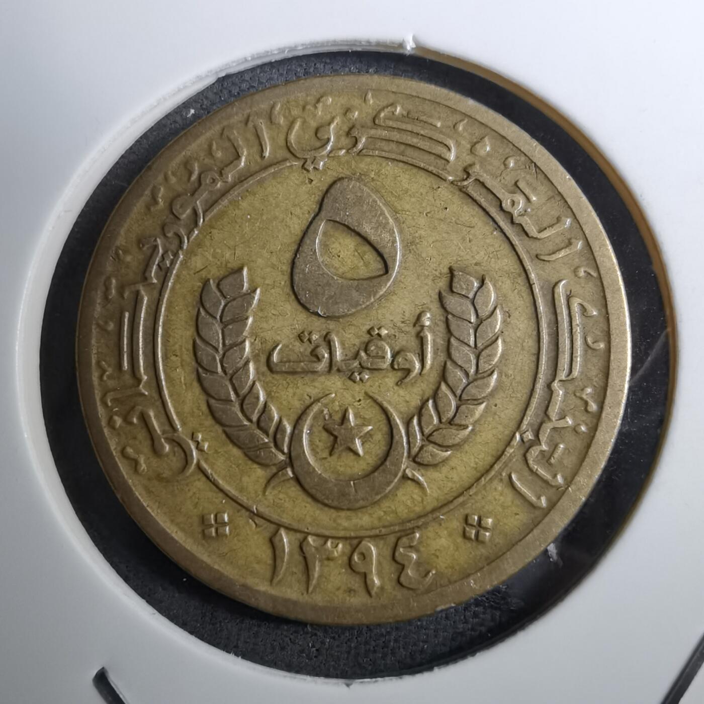 沼泽如烟--第888场