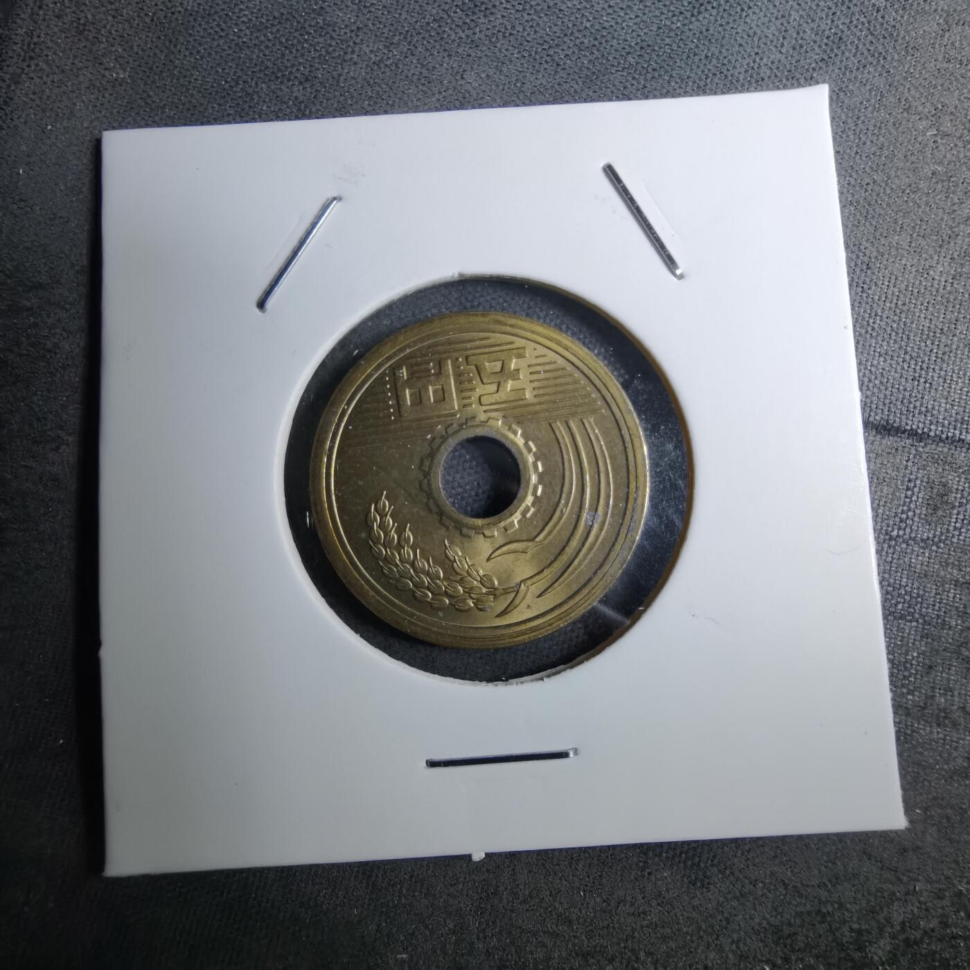 沼泽如烟--第888场