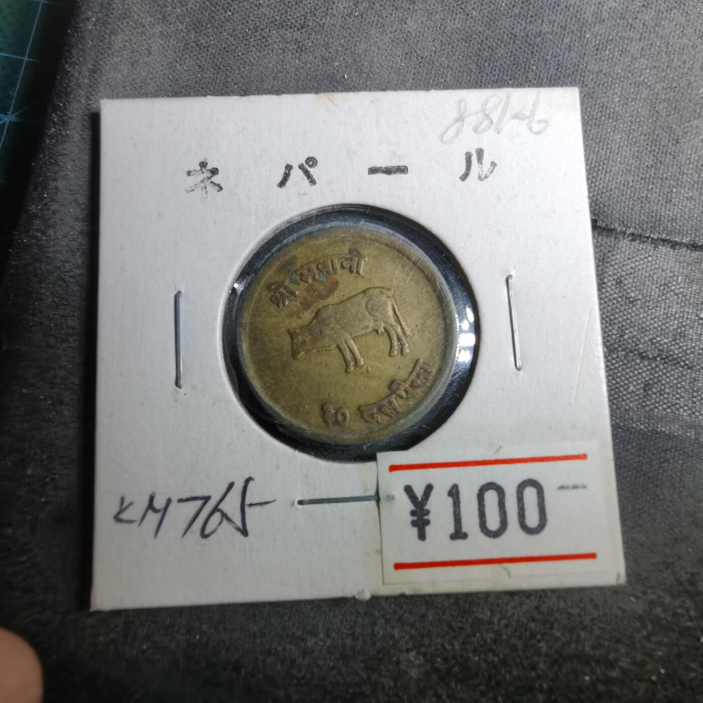 沼泽如烟--第888场