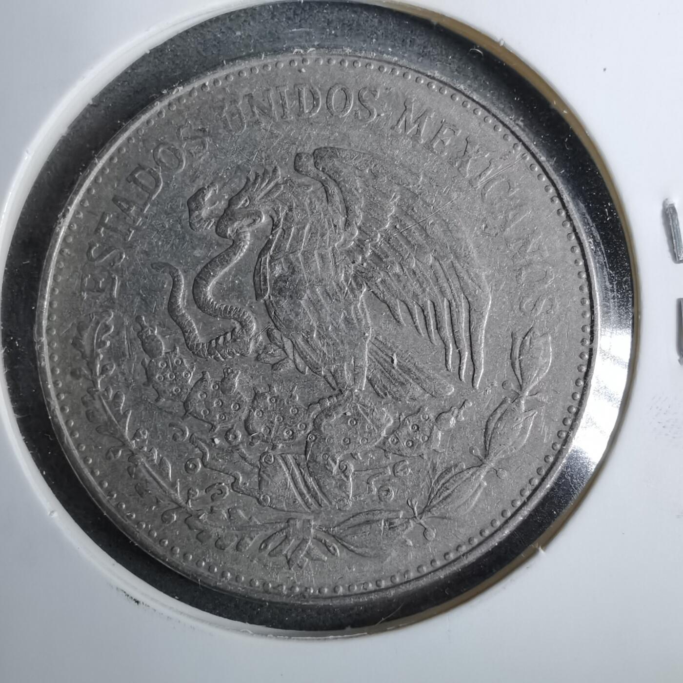 沼泽如烟--第889场