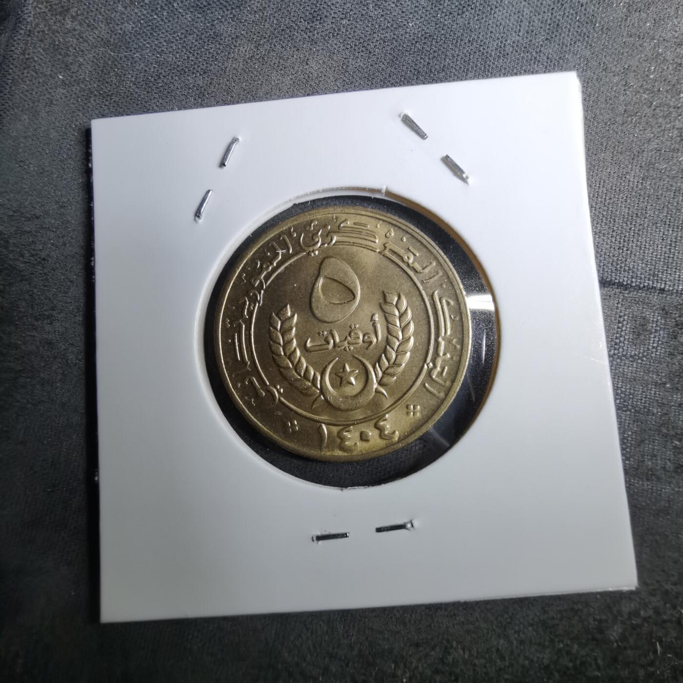 沼泽如烟--第888场