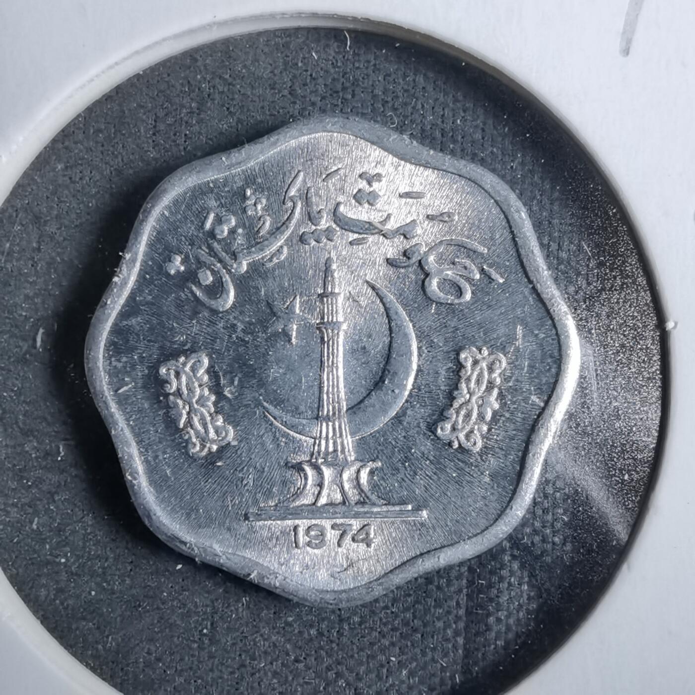 沼泽如烟--第889场