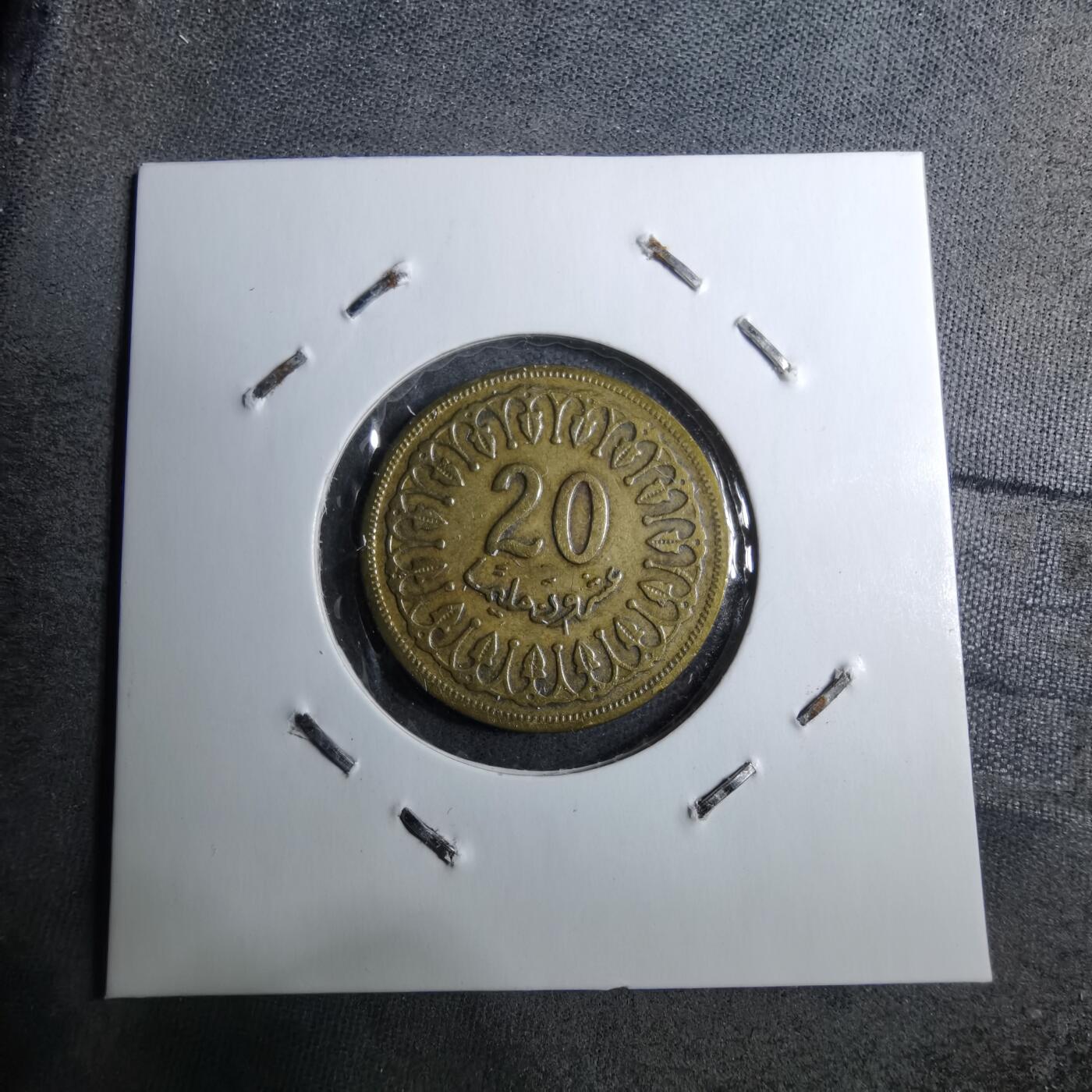 沼泽如烟--第888场