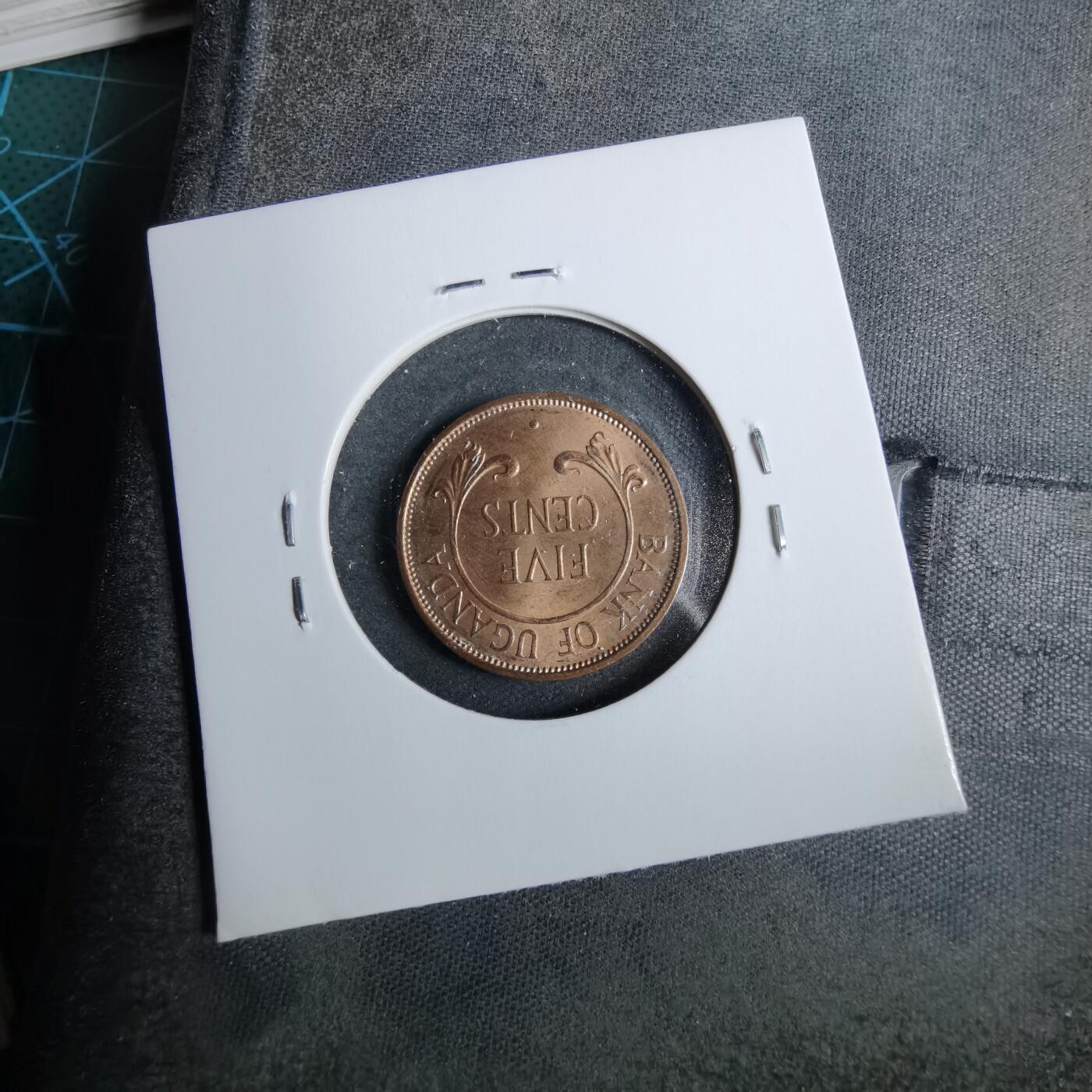 沼泽如烟--第889场