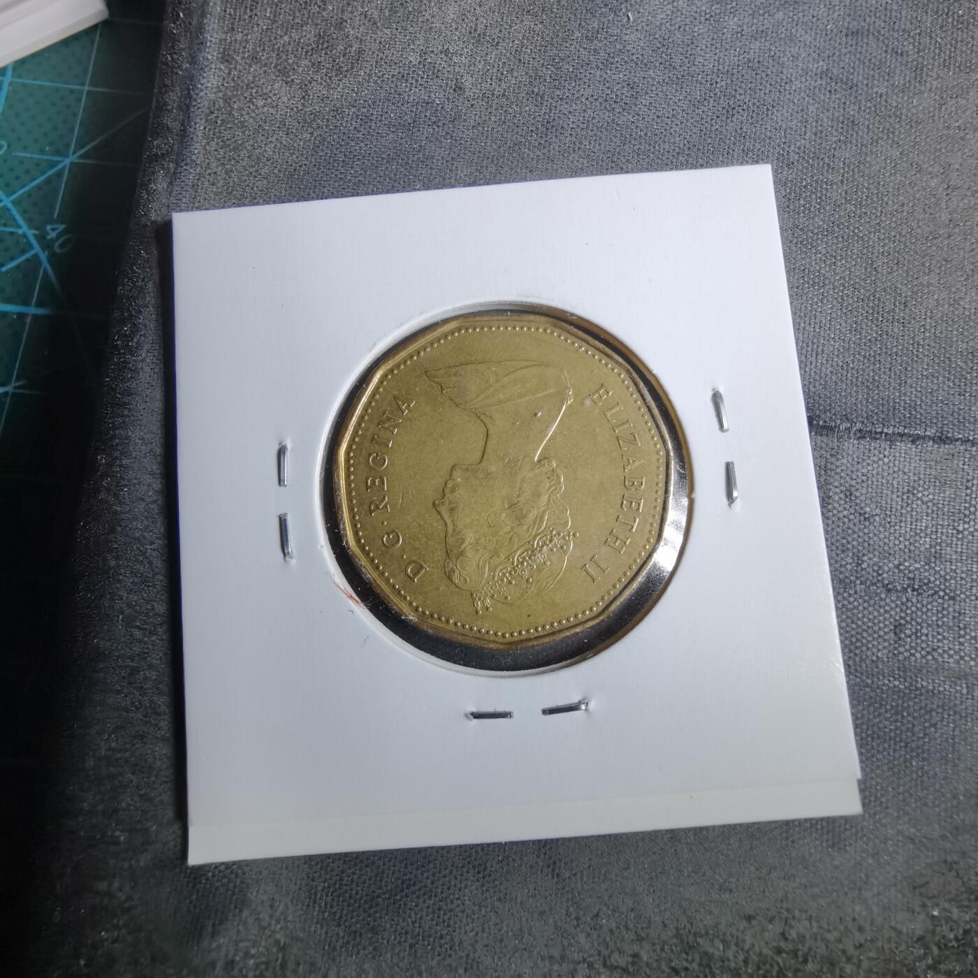 沼泽如烟--第889场