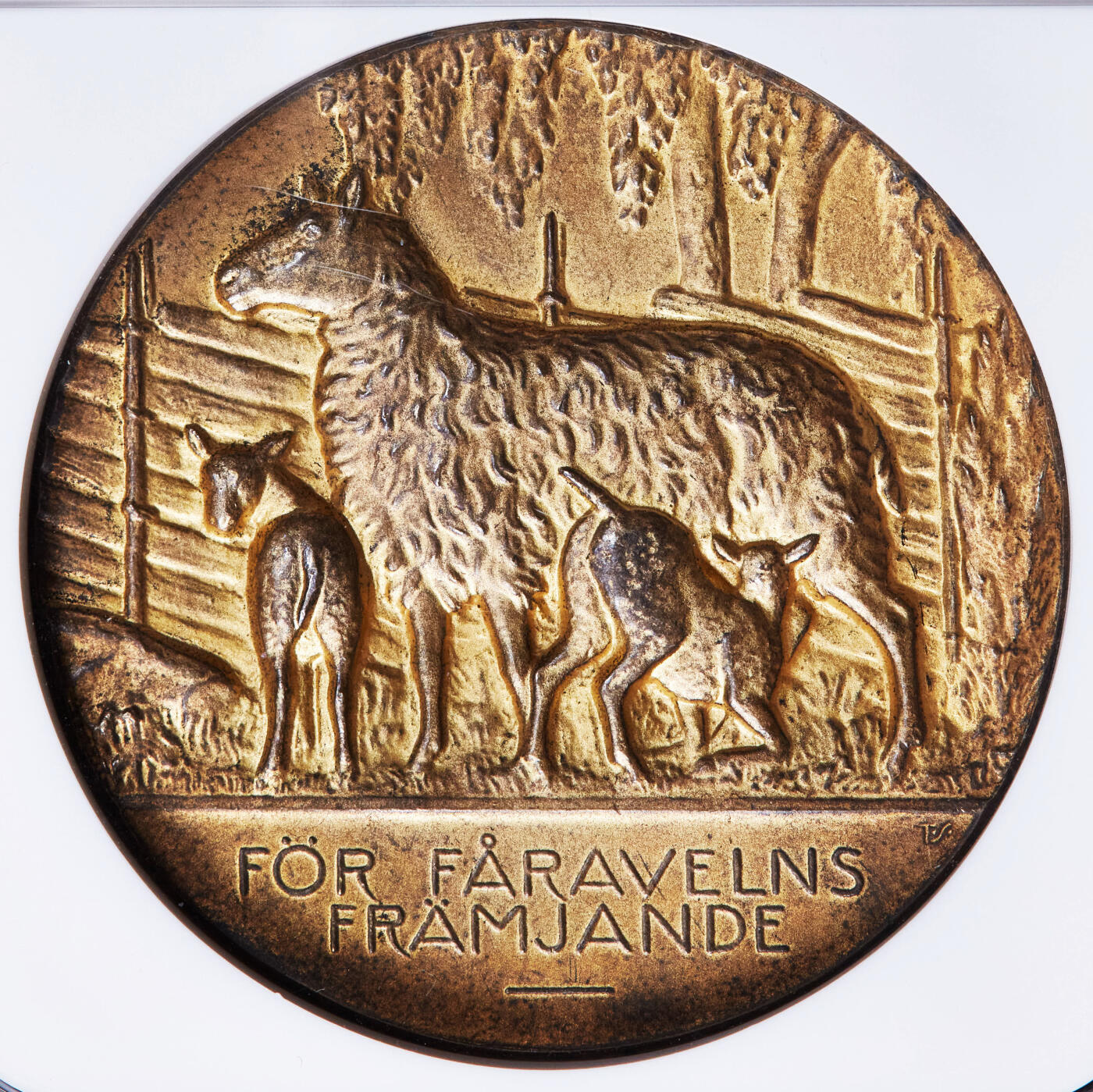 【俄甄集藏】2025年(044)11-12星期三晚 19:30 全场包邮 瑞典19世纪畜牧业推广牧羊镀金大银章，NGC MS62，高浮雕，直径45mm