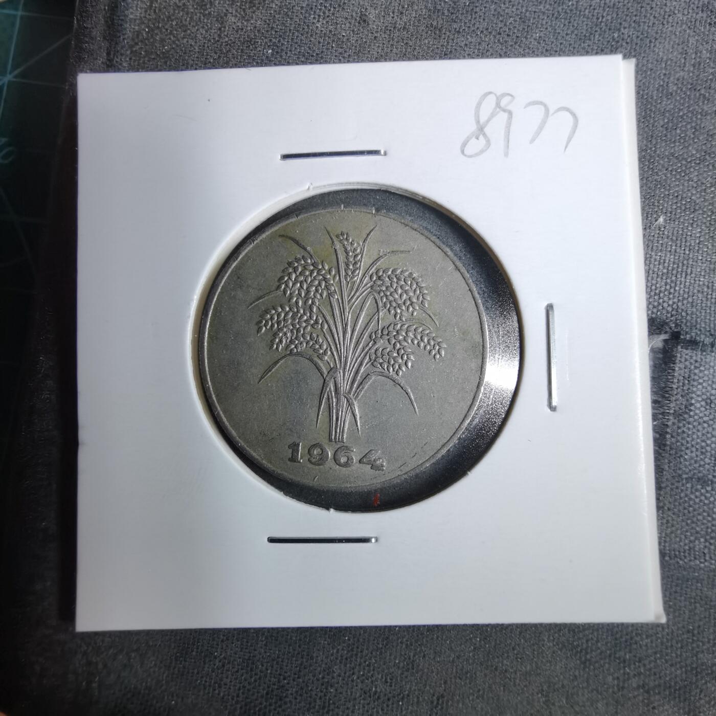 沼泽如烟--第889场