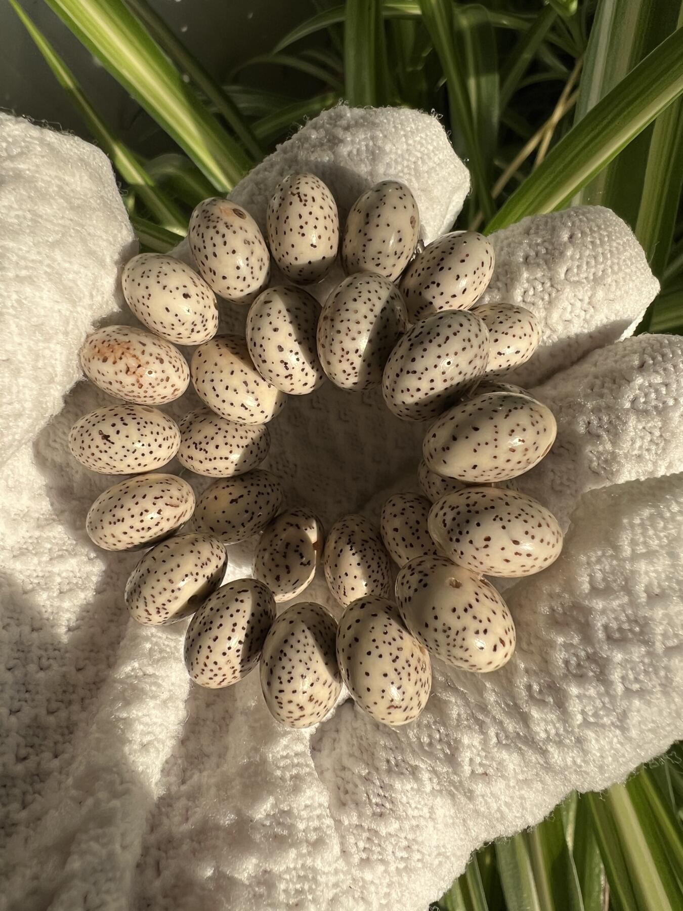 零元拍：星月算盘珠手串 13/8