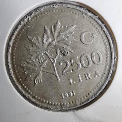 沼泽如烟--第888场 - 土耳其1991年2500里拉