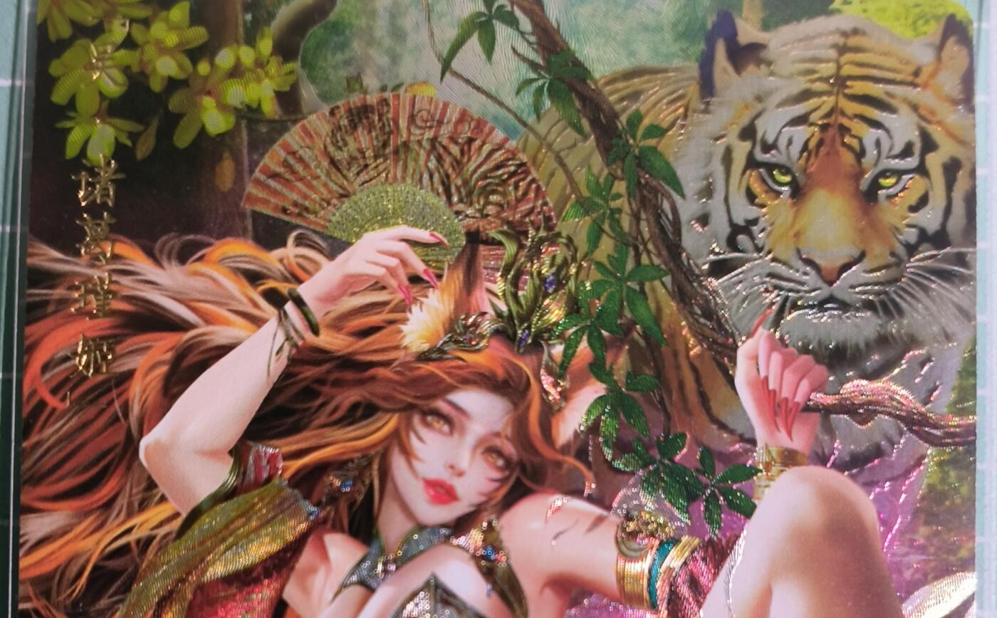 C先生卡牌 第15期 元集纪·刷子签·罐儿签·毒瘤签(持续收拍品中...) 【粗闪】卡玩帕克《魂姬三国》诸葛瑾姬