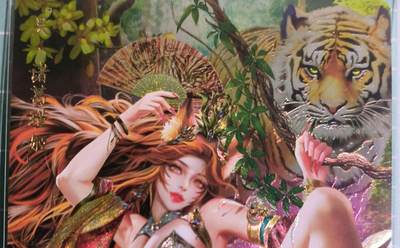 C先生卡牌 第15期 元集纪·刷子签·罐儿签·毒瘤签(持续收拍品中...) - 【粗闪】卡玩帕克《魂姬三国》诸葛瑾姬