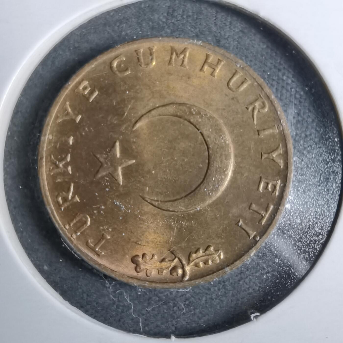 沼泽如烟--第889场