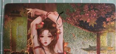 C先生卡牌 第15期 元集纪·刷子签·罐儿签·毒瘤签(持续收拍品中...) - 【粗闪】卡玩帕克《传奇绘鉴》步非烟