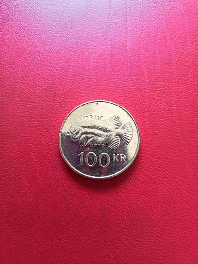 【云涧收藏】第七十六场 - 冰岛2011年100克朗