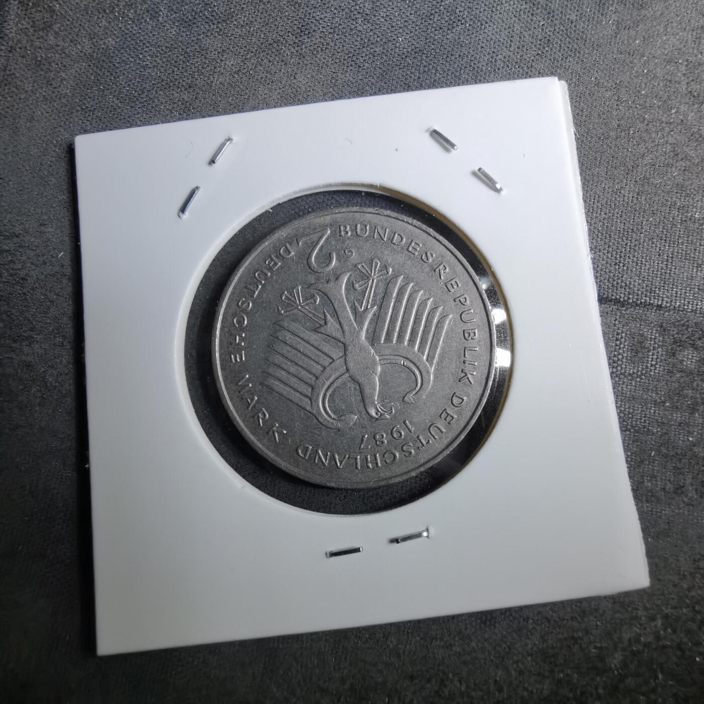 沼泽如烟--第888场