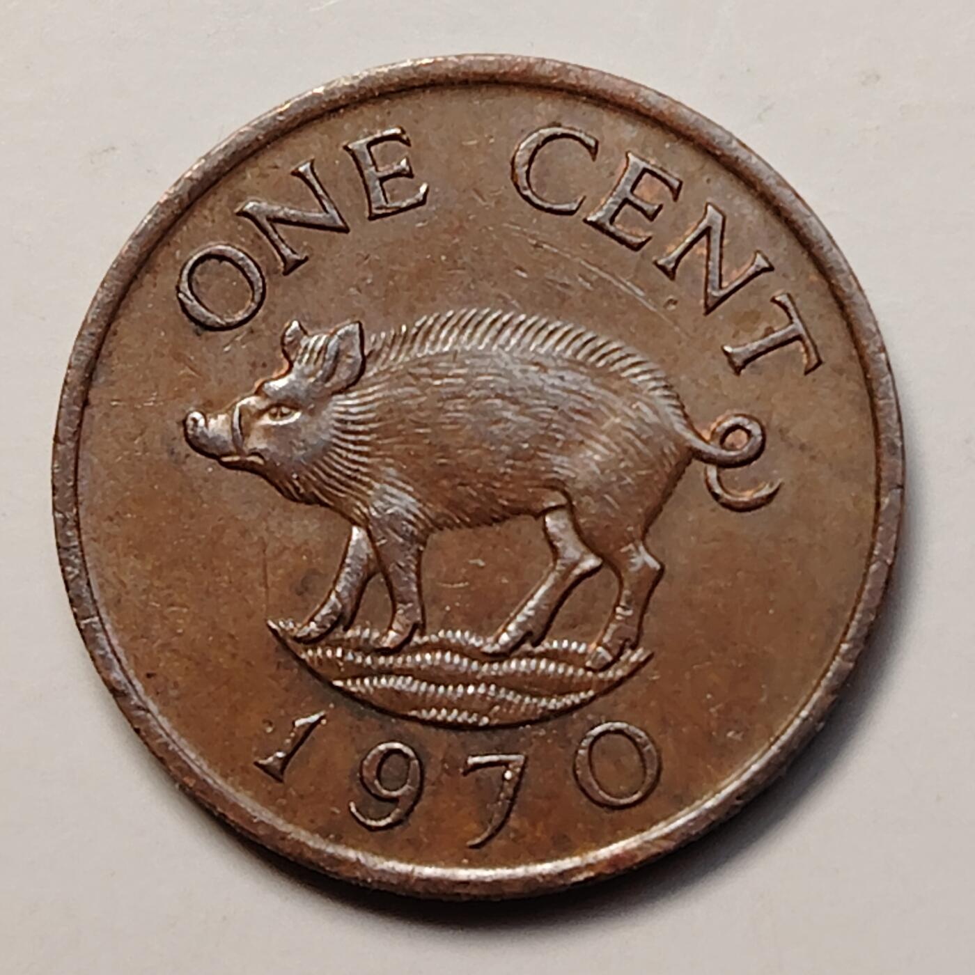 布加迪🐬～世界钱币(上海)🌾第 256 期 /  各国套币和散币