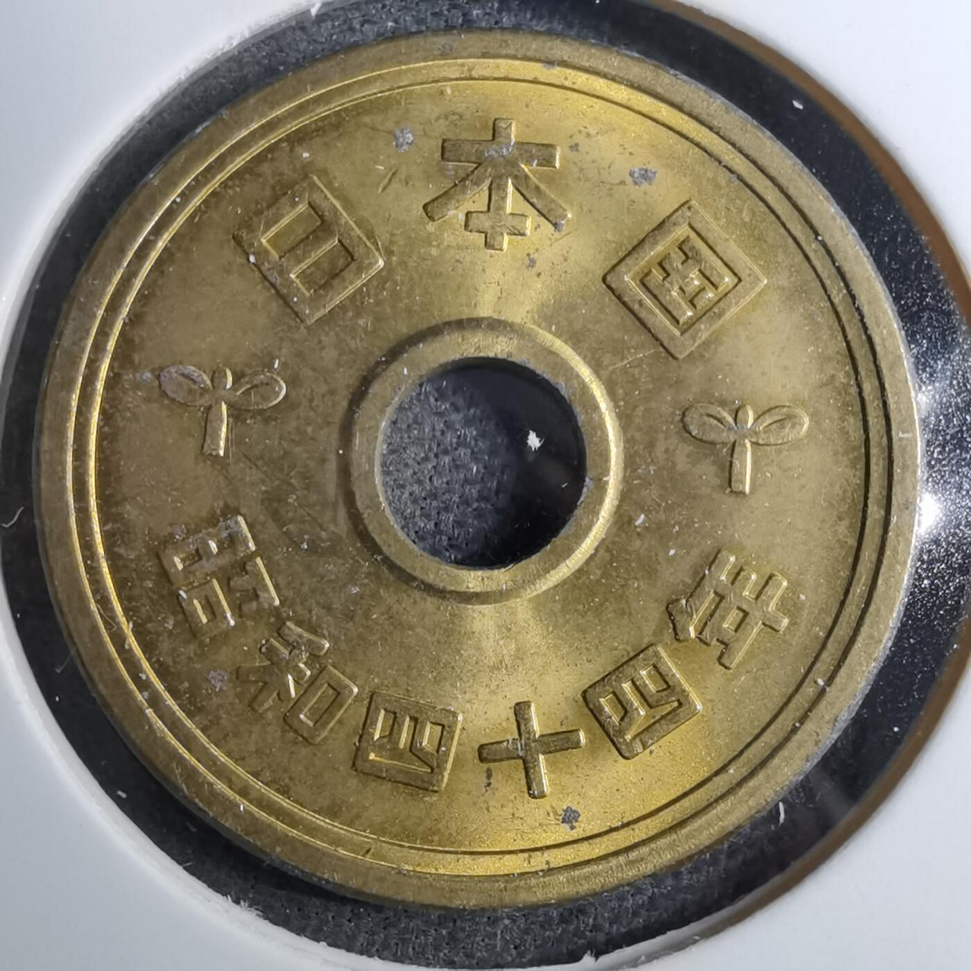 沼泽如烟--第888场