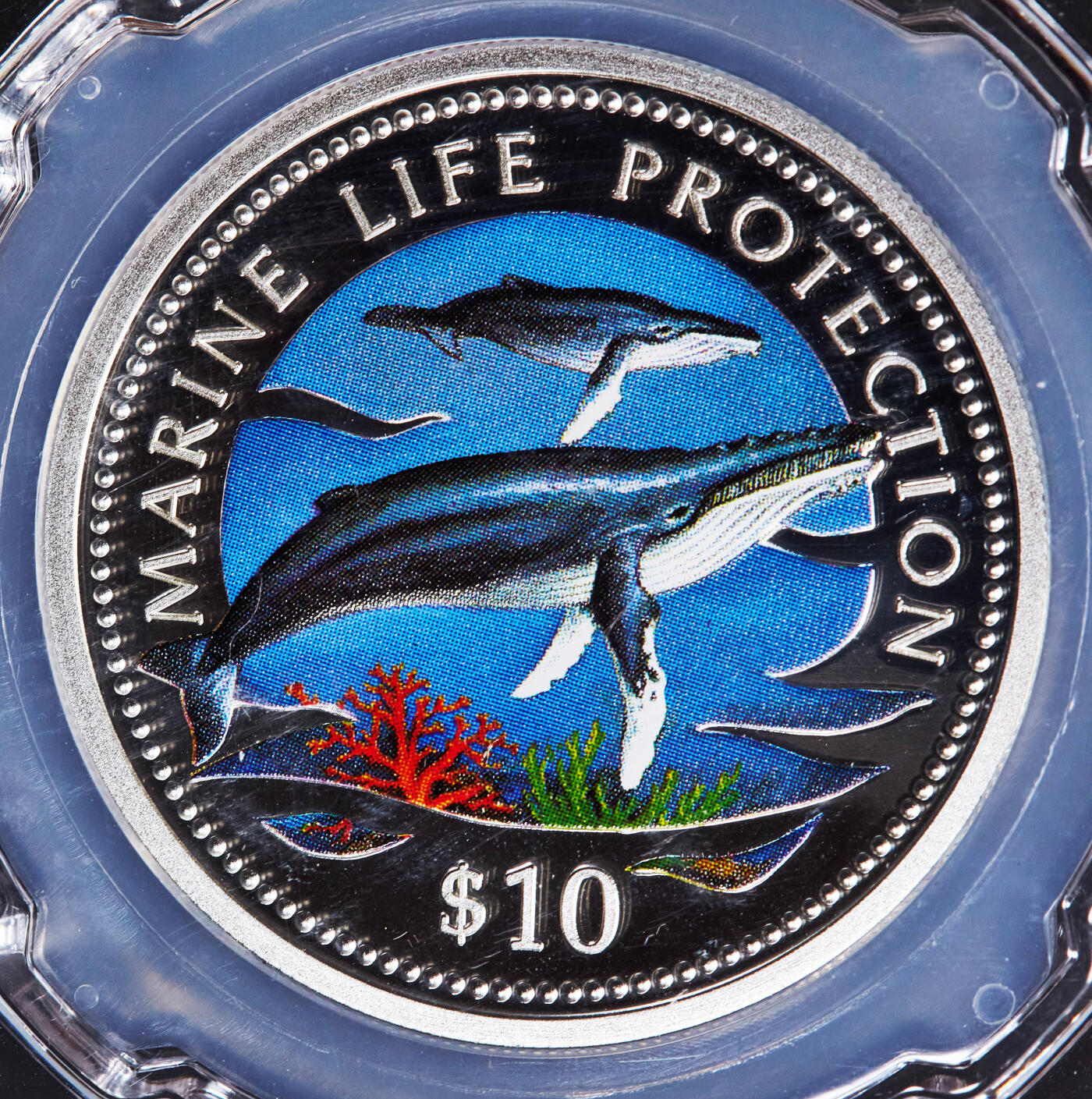 【俄甄集藏】2025年(044)11-12星期三晚 19:30 全场包邮