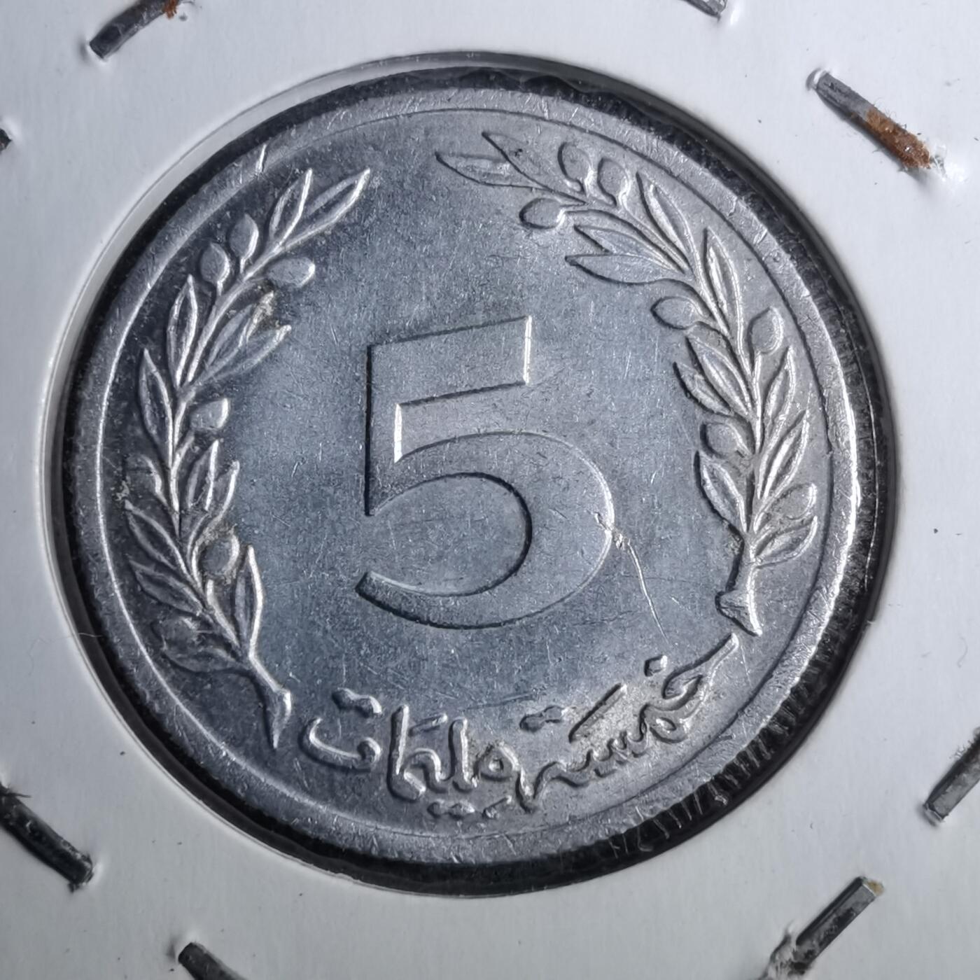 沼泽如烟--第888场